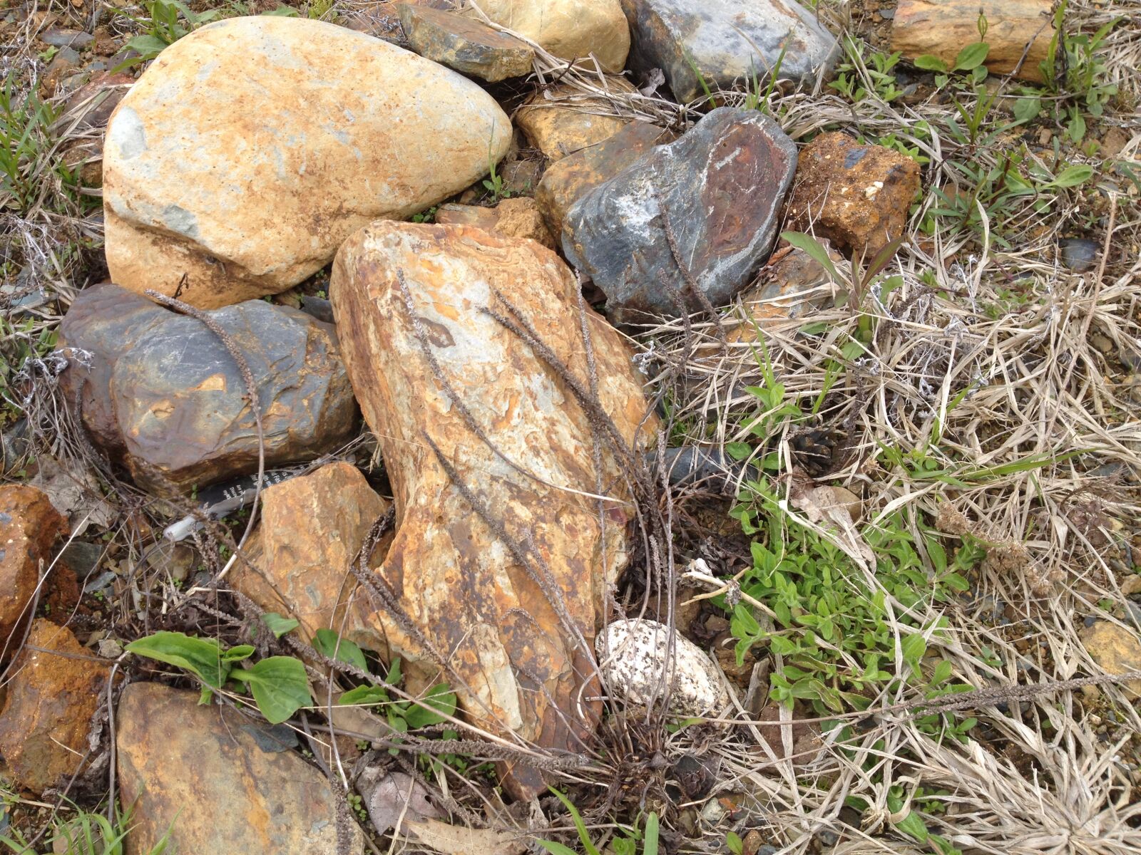 iPhone 4S back camera 4.28mm f/2.4 sample photo. Boulders, grass, nature, rocks photography