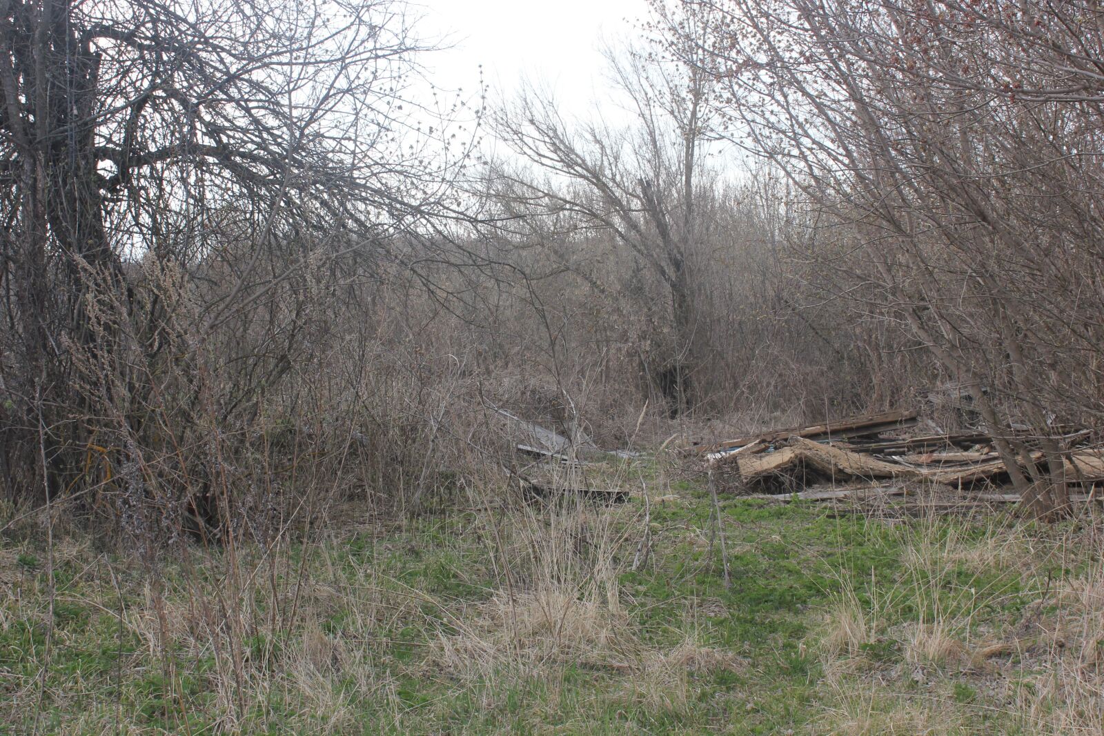 Canon EOS 550D (EOS Rebel T2i / EOS Kiss X4) sample photo. The ruins of the photography