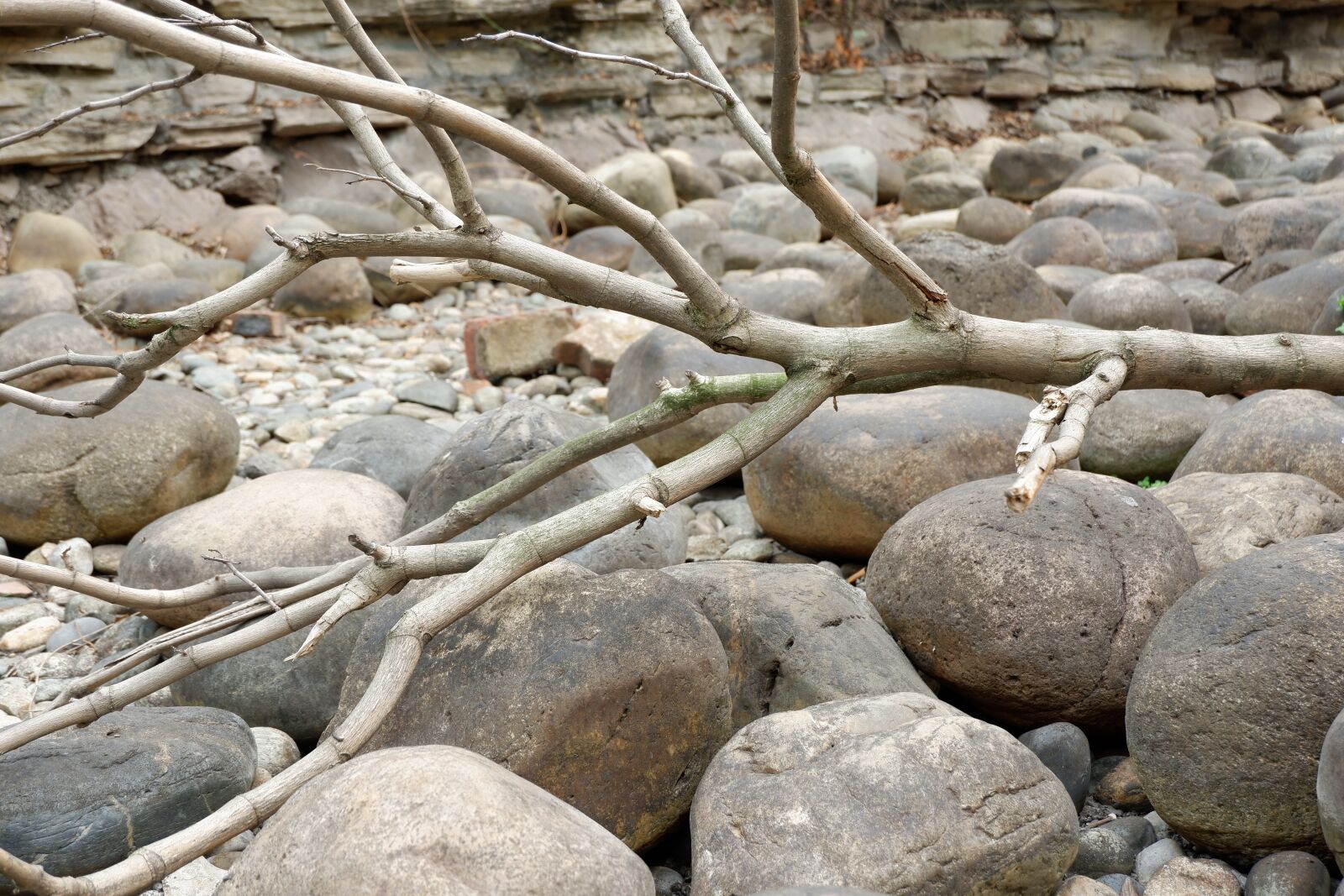 Fujifilm X-A3 + Fujifilm XC 16-50mm F3.5-5.6 OIS II sample photo. Stones, dead branches, pebbles photography