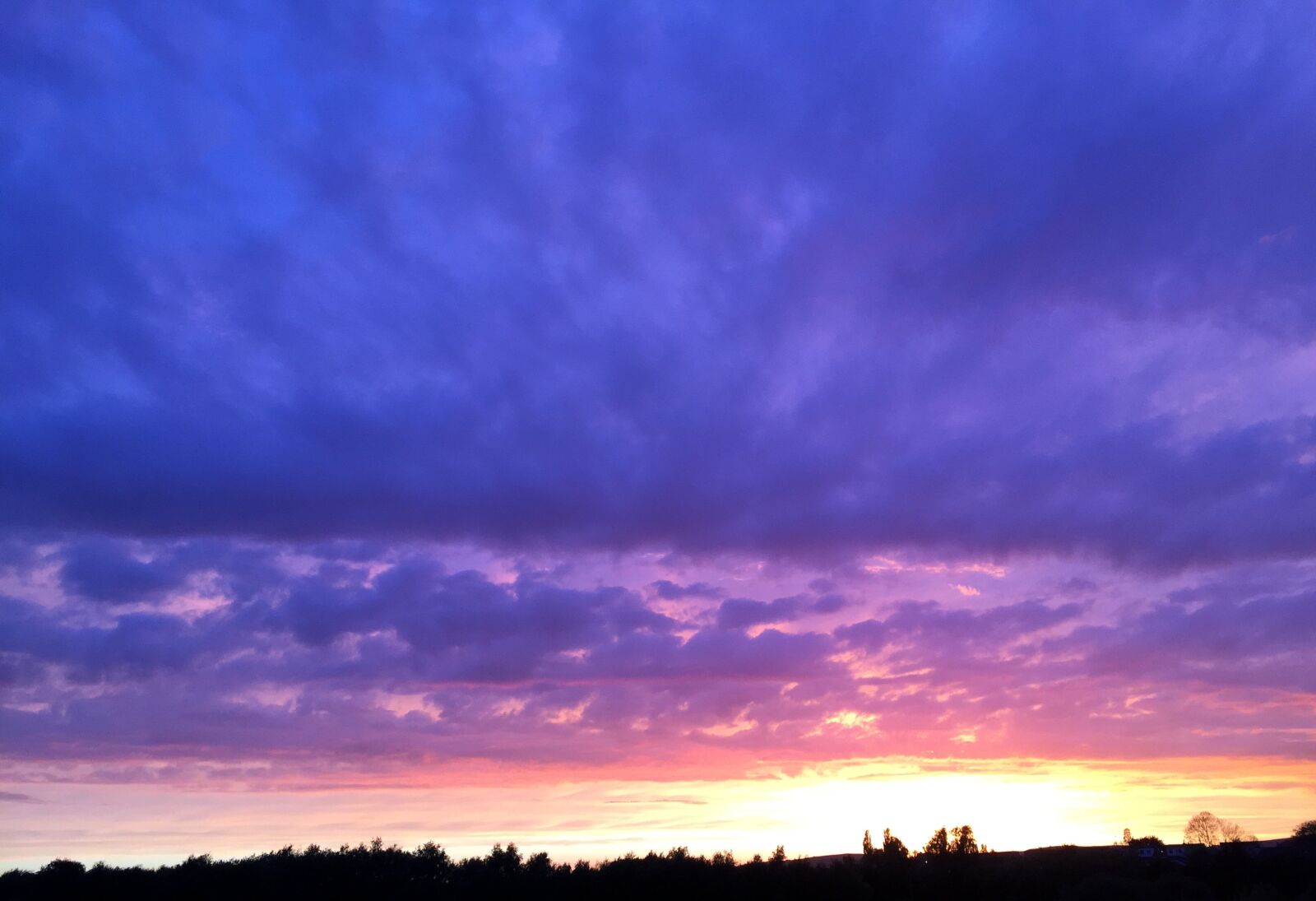 Apple iPhone 6 sample photo. Sunset, sunlight, silhouette photography