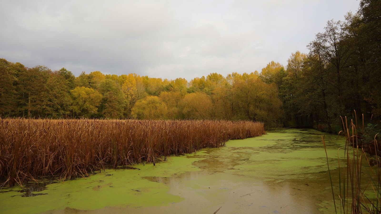 Canon EF-M 15-45mm F3.5-6.3 IS STM sample photo. Landscape, autumn, lake photography