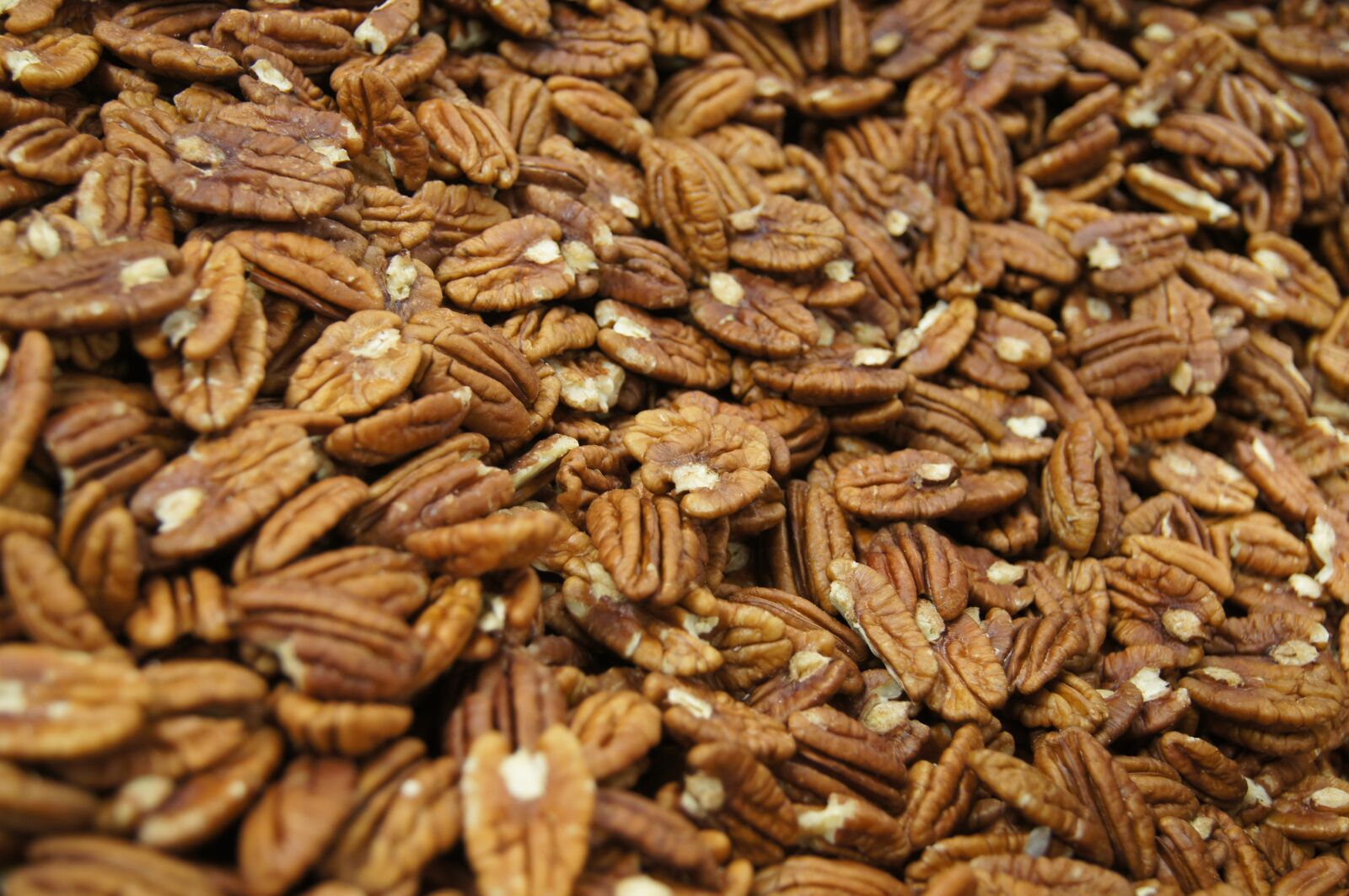 Sony SLT-A55 (SLT-A55V) sample photo. Fruit, walnuts, nut photography