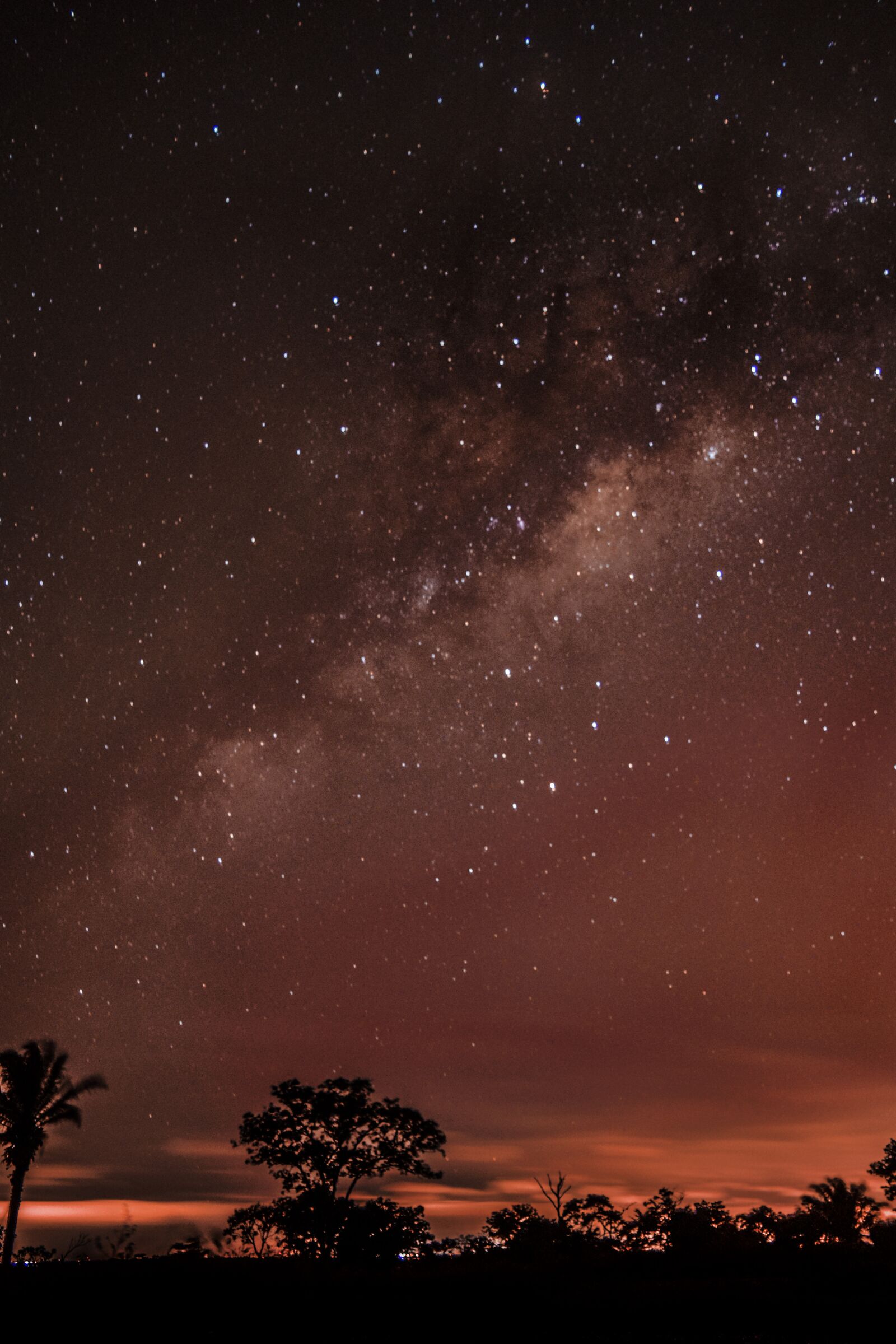 Nikon D3300 sample photo. Star, night, sky photography