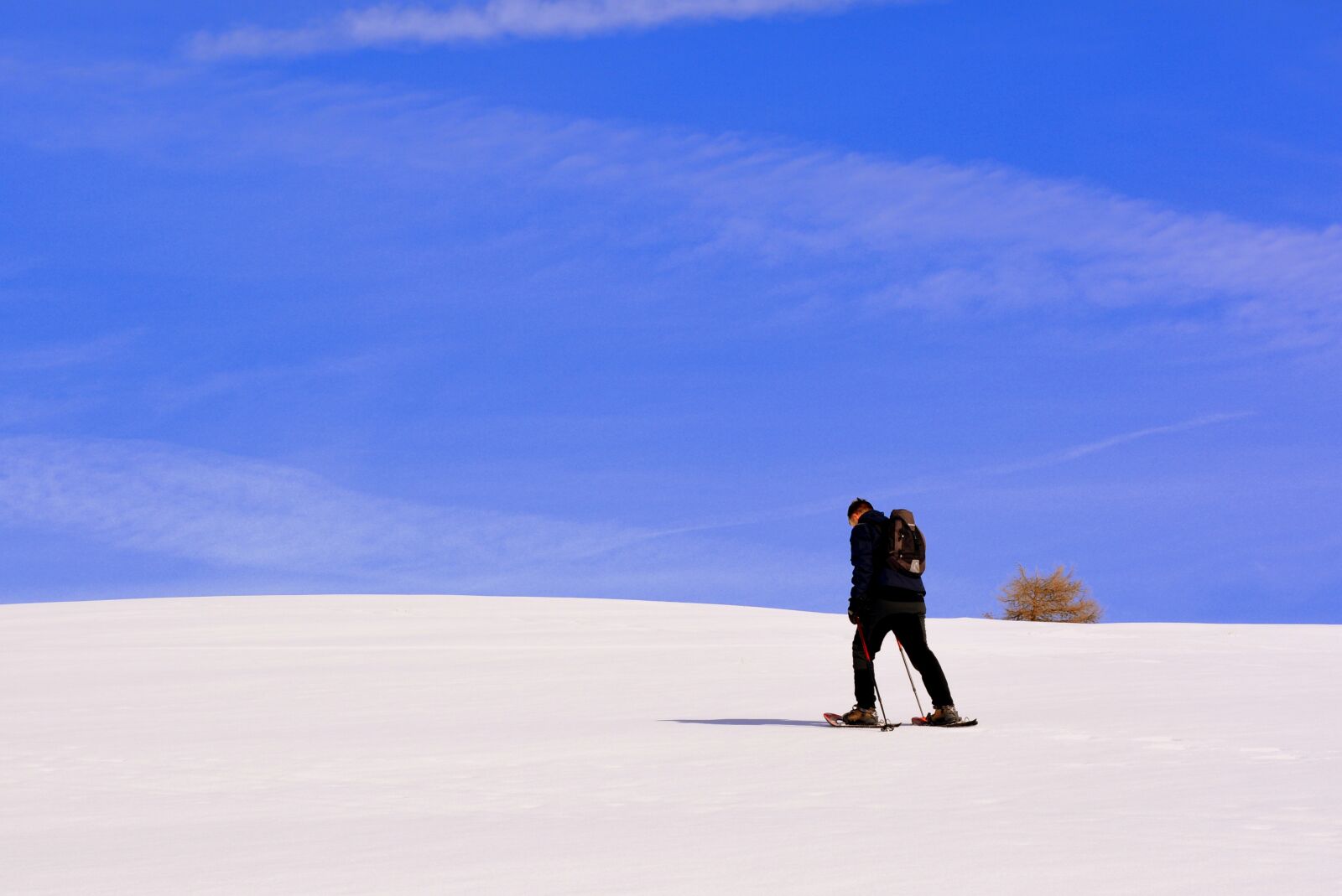Nikon D7100 sample photo. Excursion, solitude, snow photography