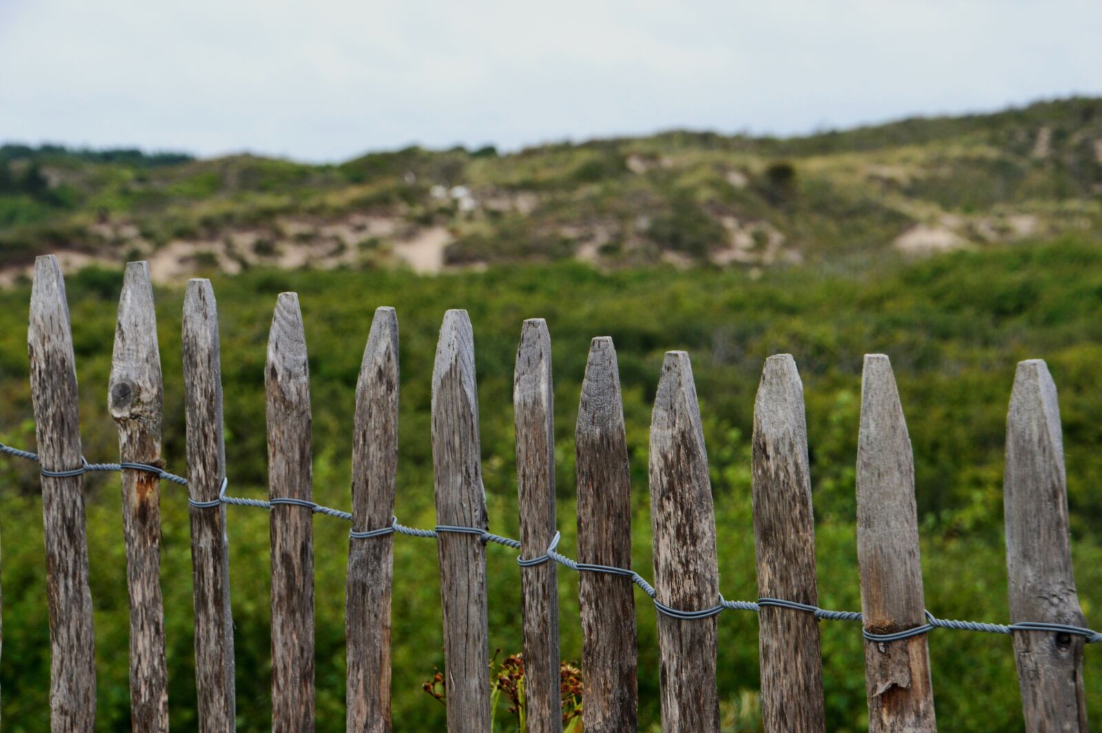Nikon D3200 sample photo. Sea, beach, stella beach photography