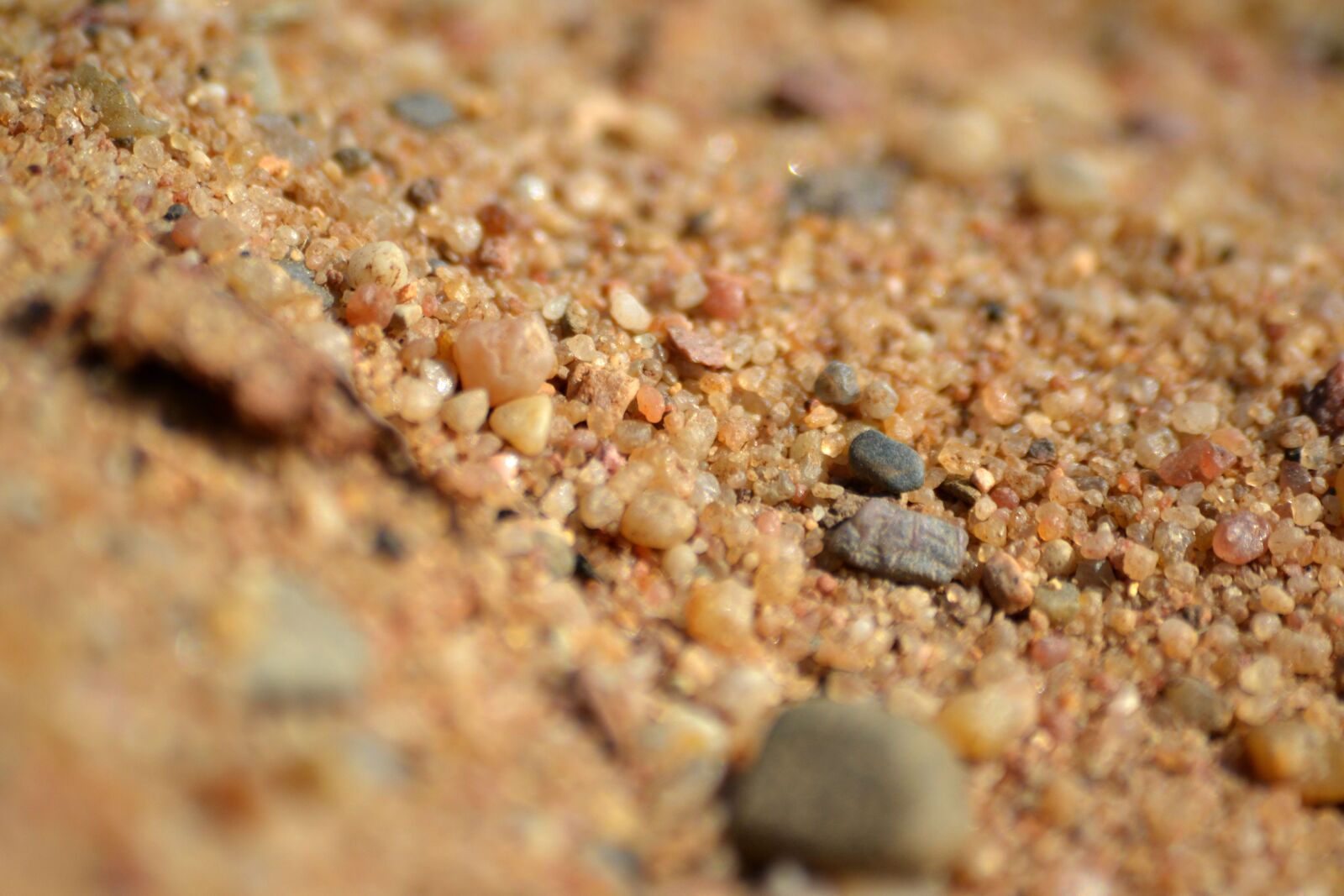 Nikon D3100 sample photo. Sand, stones, grains photography
