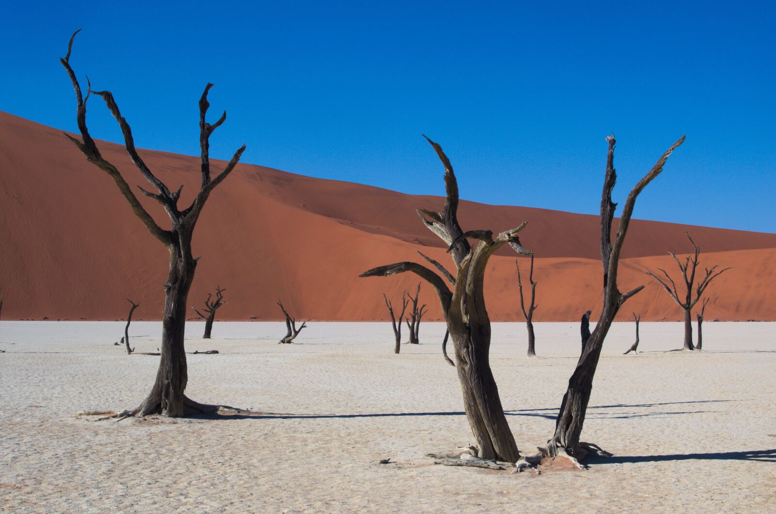 Nikon D5100 sample photo. Deadvlei, namibia, desert photography