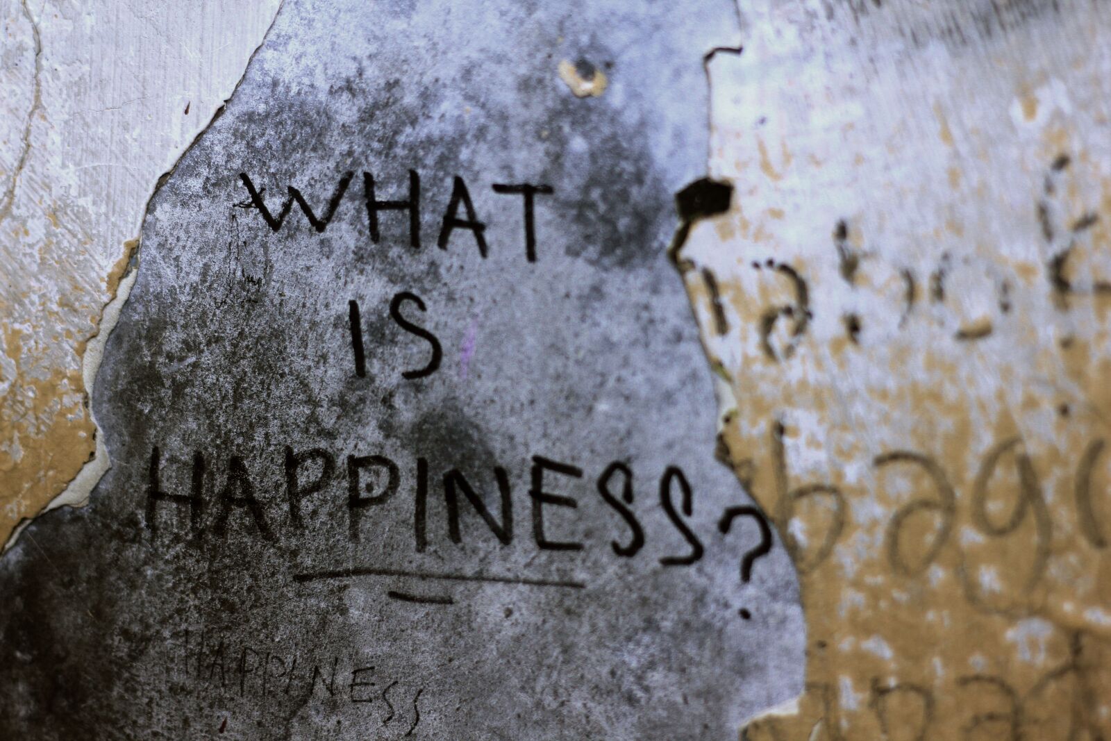 Canon EOS 60D + Canon EF 50mm F1.8 II sample photo. Wall, graffiti, written photography