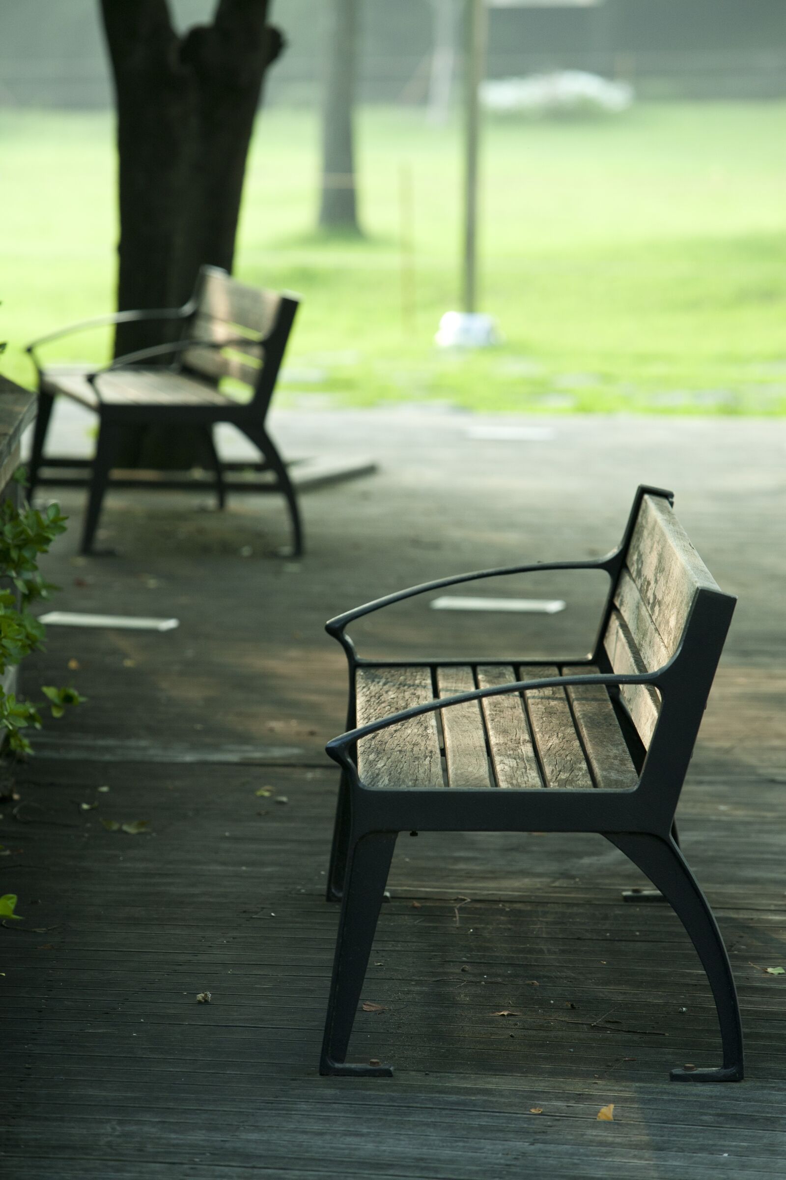 Canon EOS 5D sample photo. Chair, bench, park photography
