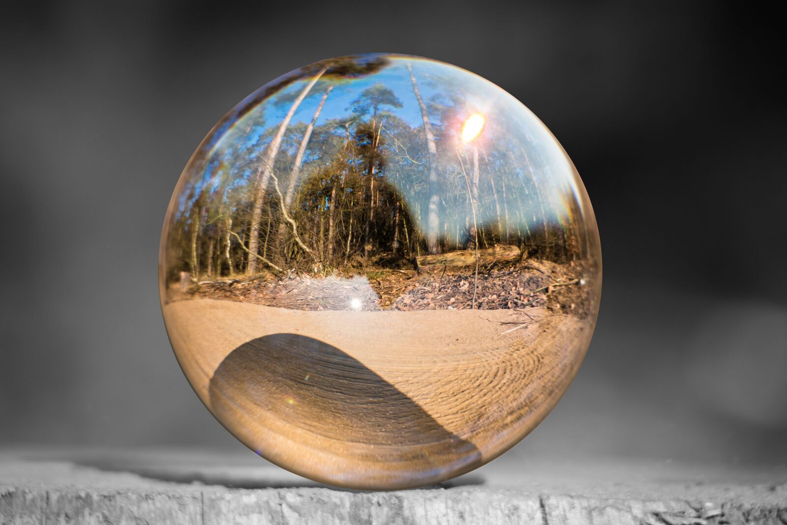 Samsung NX300M sample photo. Glass ball, tree stump photography