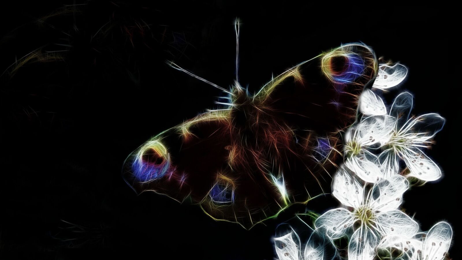 Canon PowerShot G15 sample photo. Fractalius, peacock butterfly, nature photography