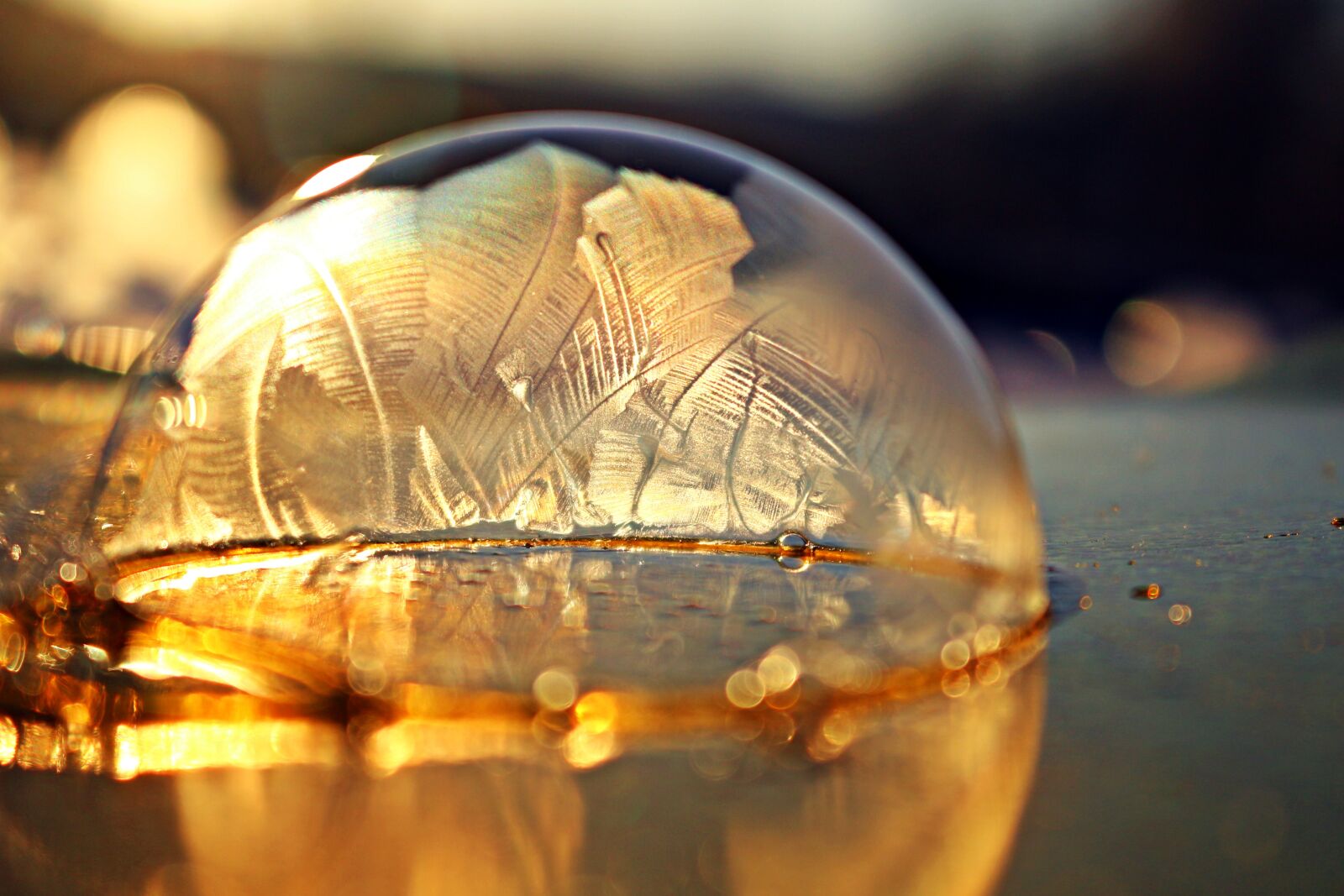 Canon EOS 100D (EOS Rebel SL1 / EOS Kiss X7) sample photo. Soap bubble, frost bubble photography