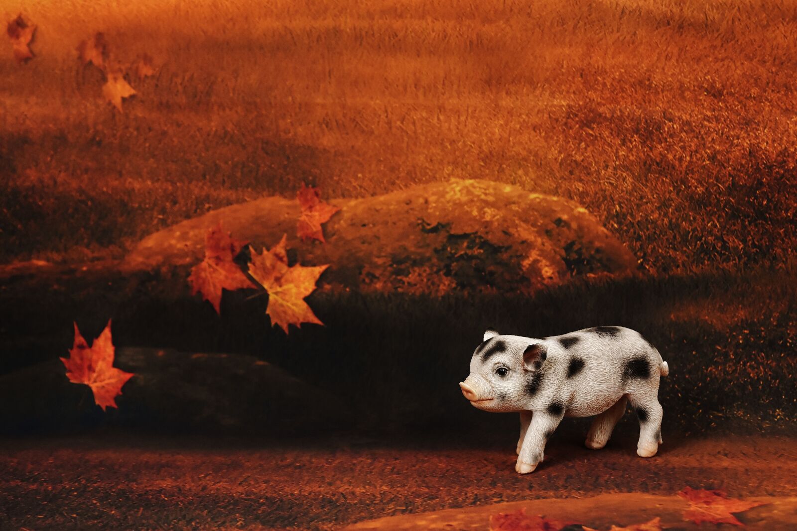 Nikon D7200 sample photo. Piglet, forest, sweet photography
