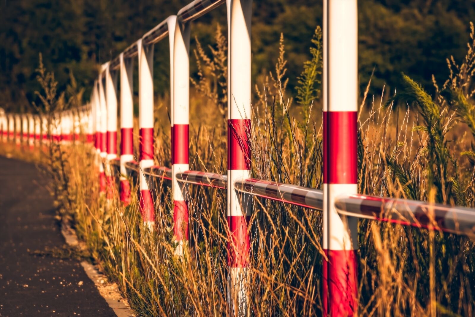 Nikon D3300 sample photo. Barrier, road, demarcation photography