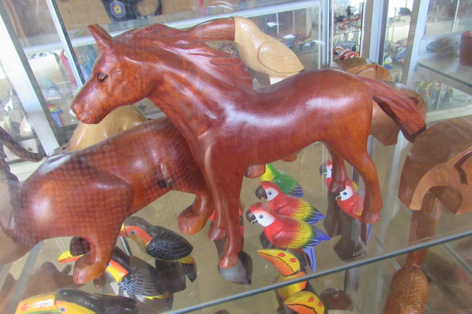 Canon PowerShot SX530 HS sample photo. Lamas, san mart n photography