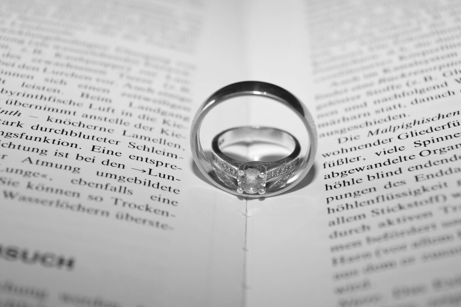 Nikon D3300 sample photo. Rings, book, blancoynegro photography