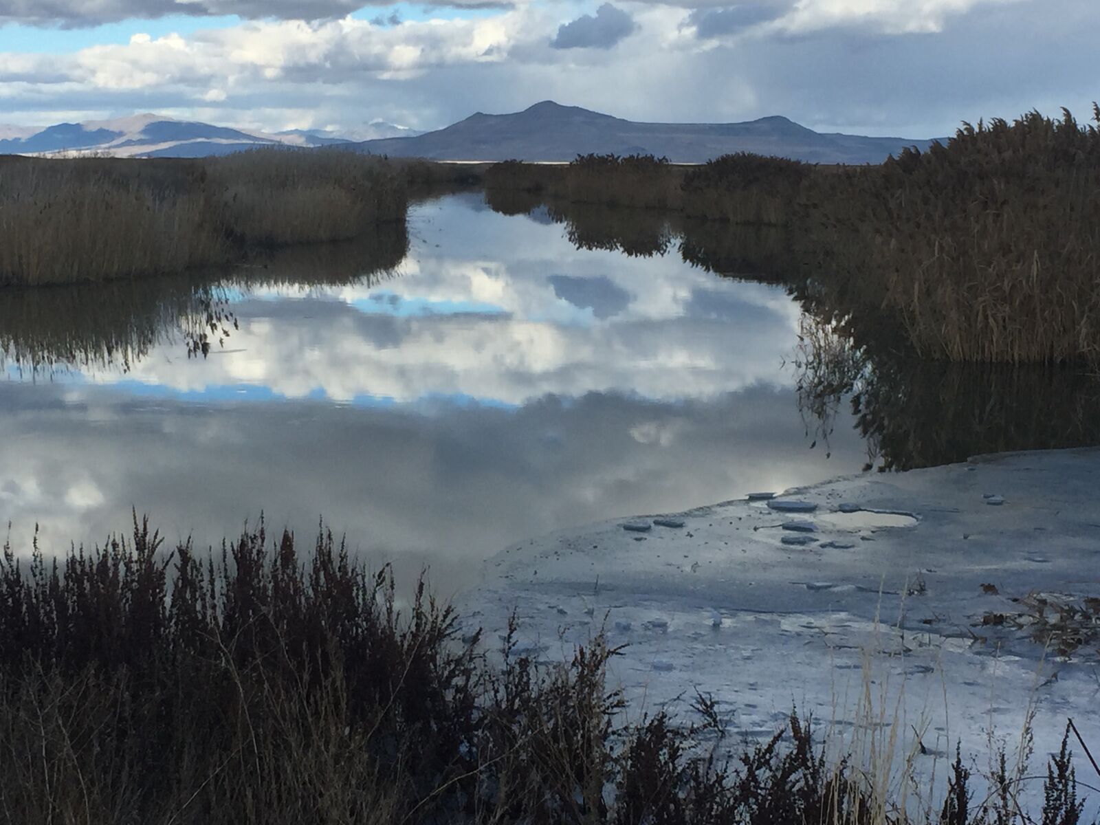 iPhone 6 back camera 4.15mm f/2.2 sample photo. Bird refuge, water, reflection photography