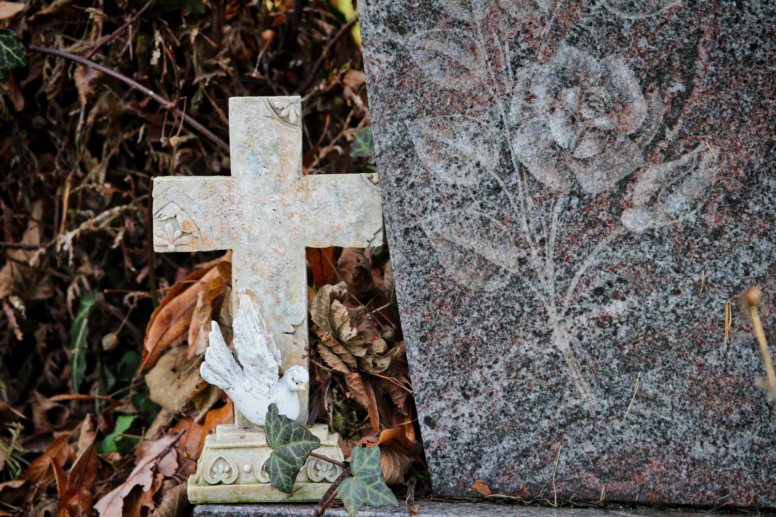 Canon EOS 100D (EOS Rebel SL1 / EOS Kiss X7) sample photo. Cross, cemetery, tombstone photography