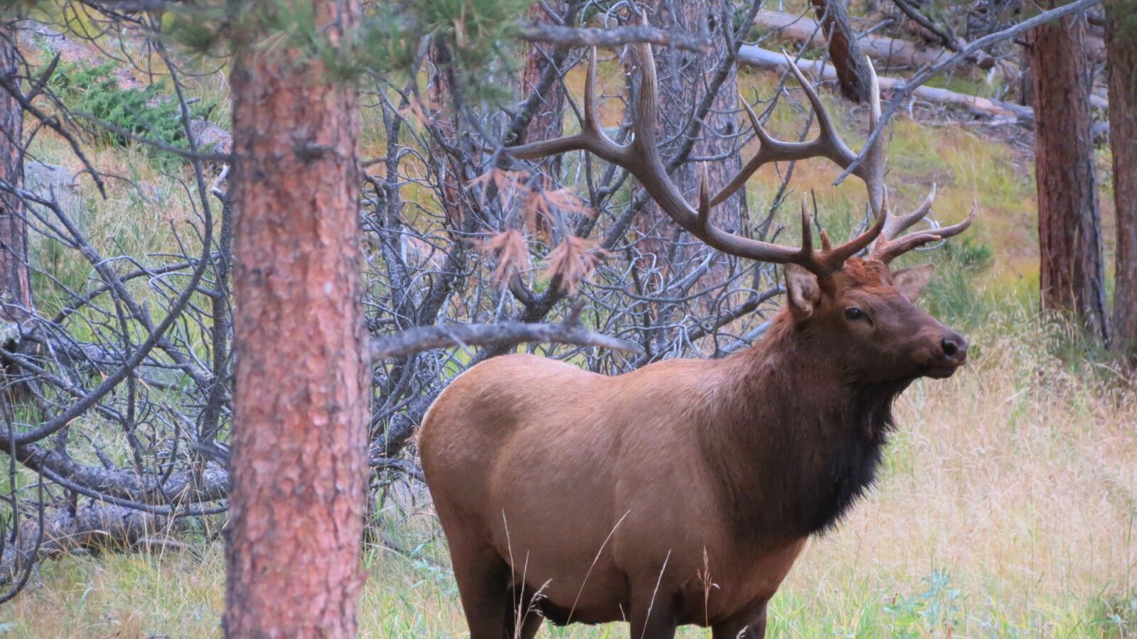 Canon PowerShot SX40 HS sample photo. Nature, rocky mountains, outdoor photography