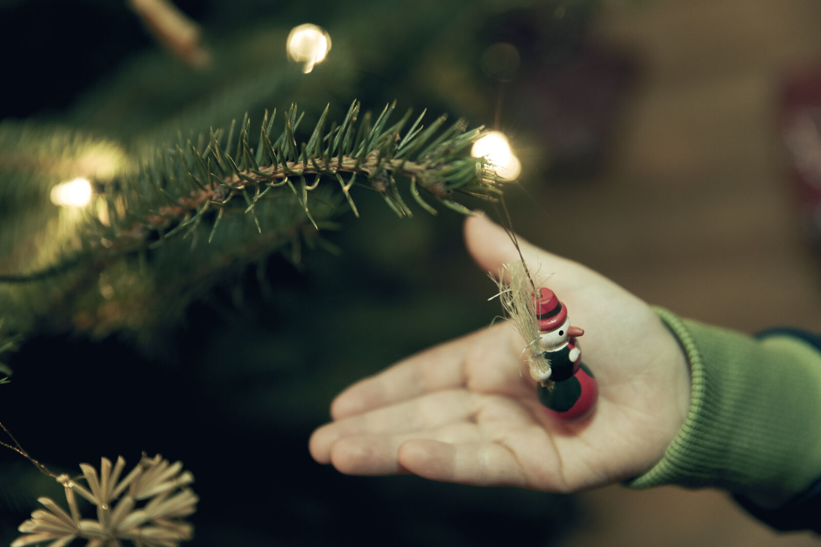 Canon EF 24-70mm F2.8L II USM sample photo. Light, hand, blur, tree photography