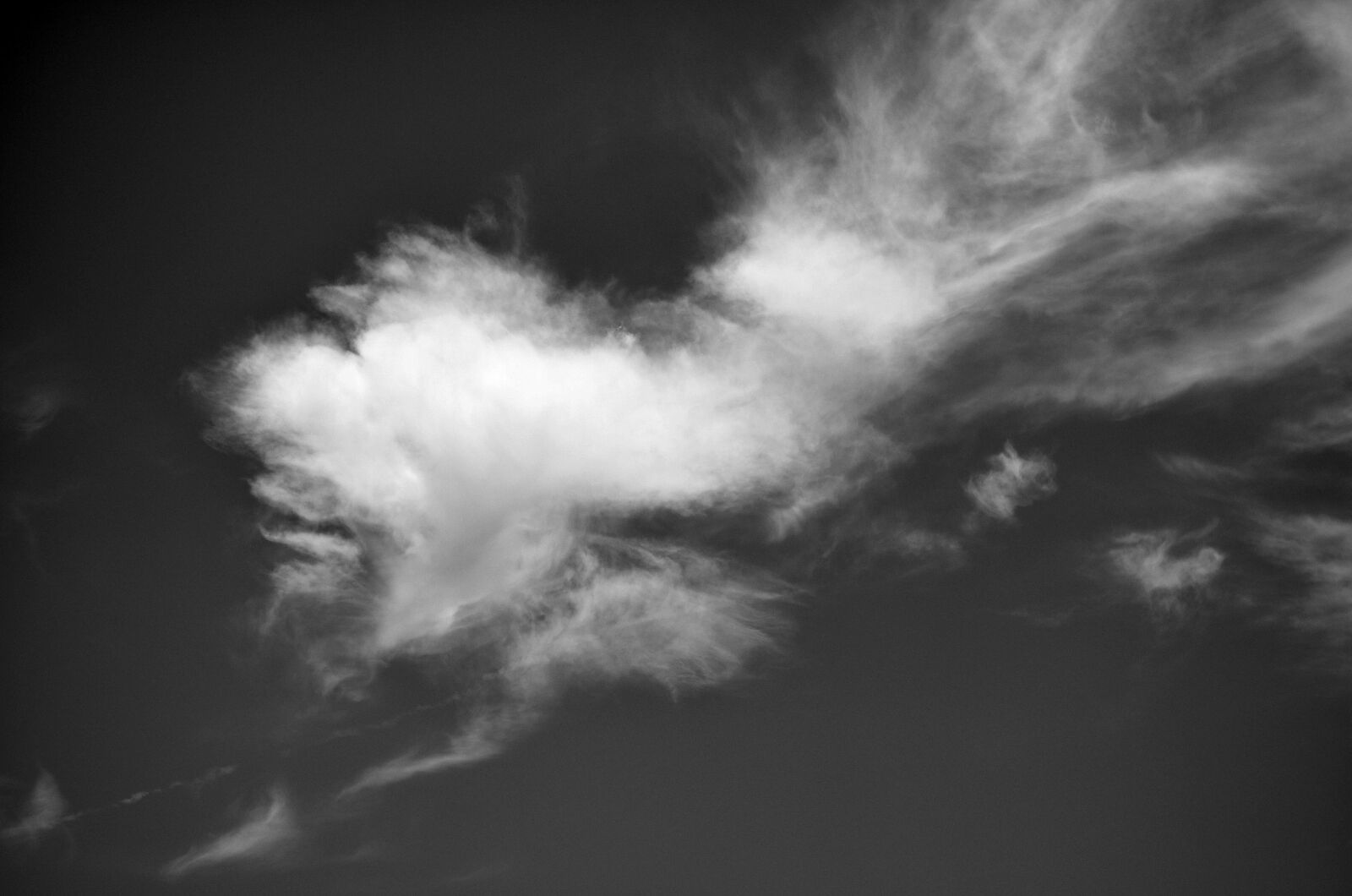 Nikon D7000 sample photo