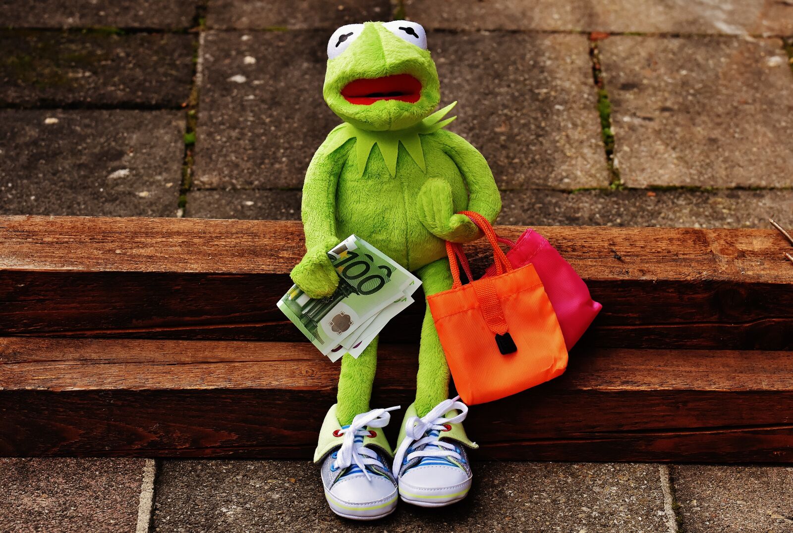Nikon D7200 sample photo. Shopping, kermit, money photography