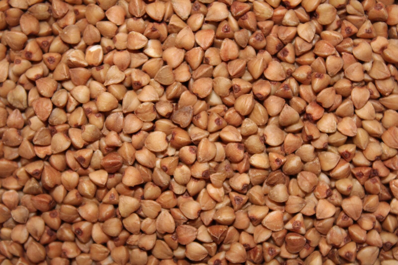 Canon EF-S 18-55mm F3.5-5.6 III sample photo. Buckwheat, krupa, healthy eating photography