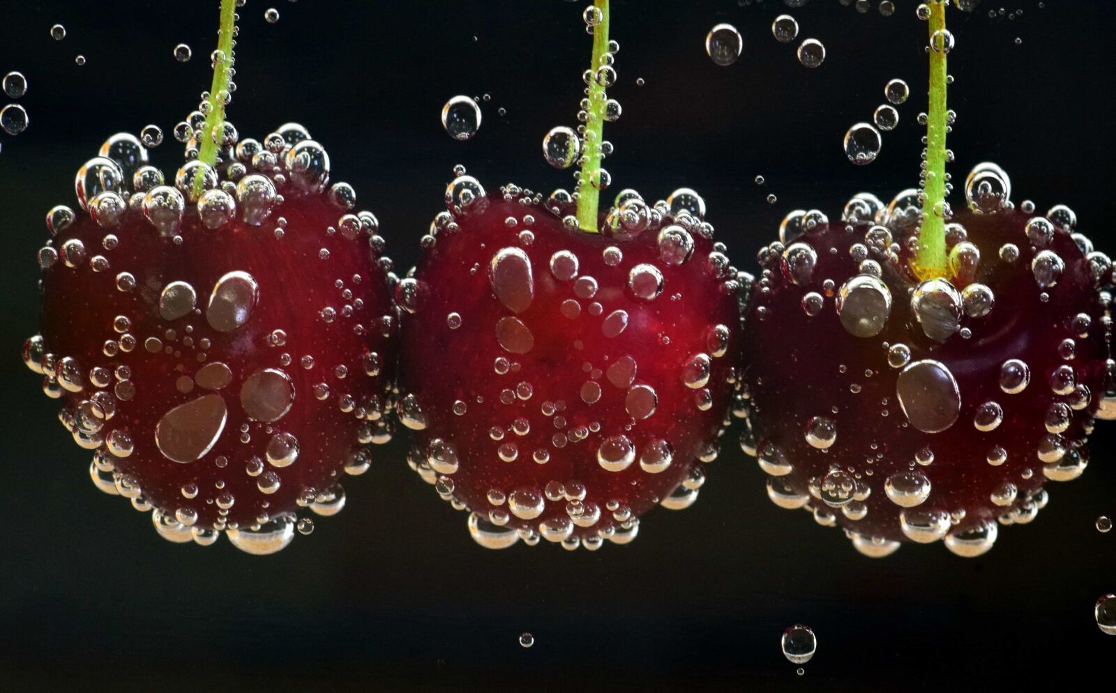 Nikon D3300 sample photo. Bubble, wet, nature, rain photography