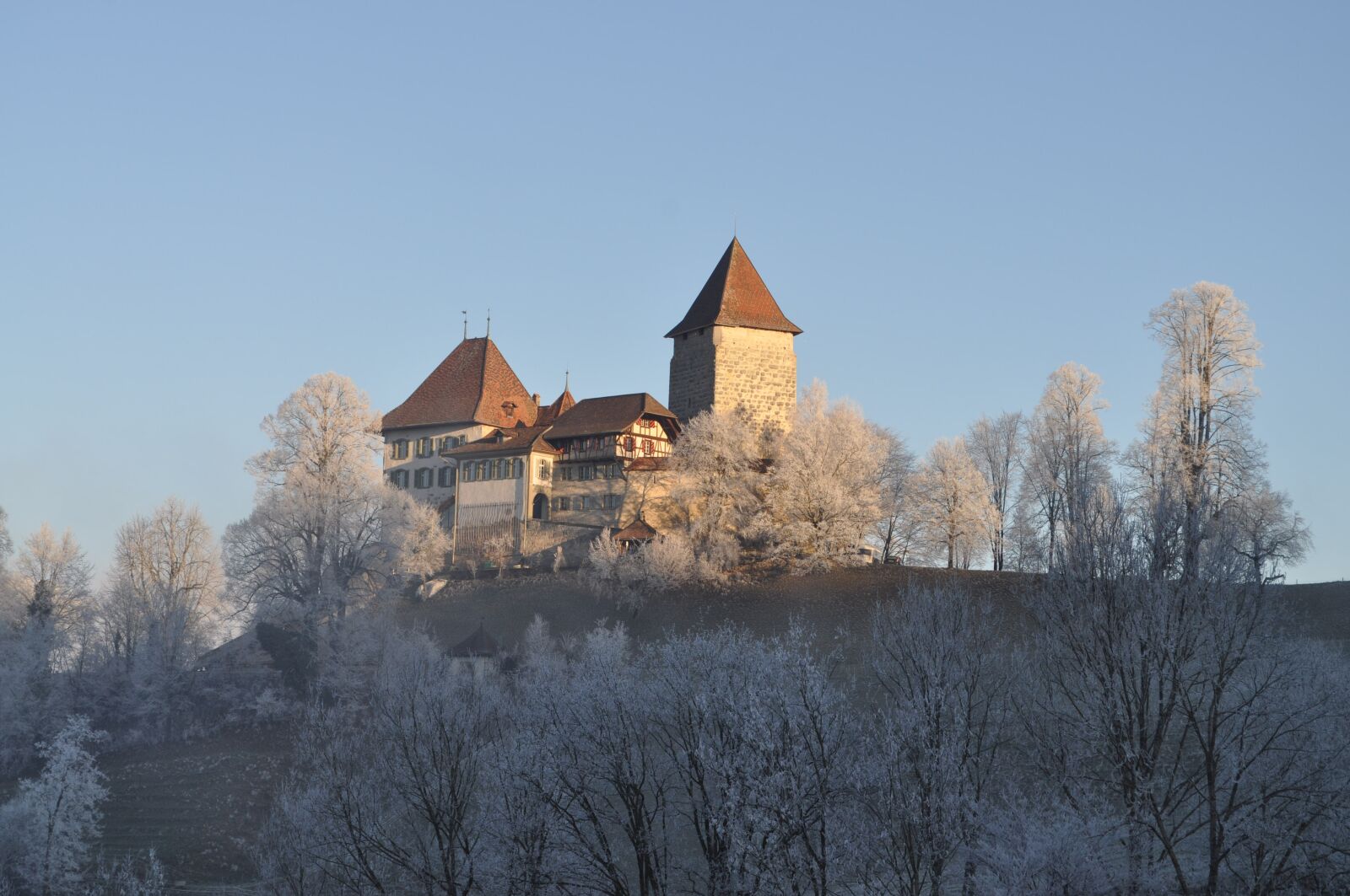 Nikon D5000 sample photo. Castle, winter, trachselwald photography