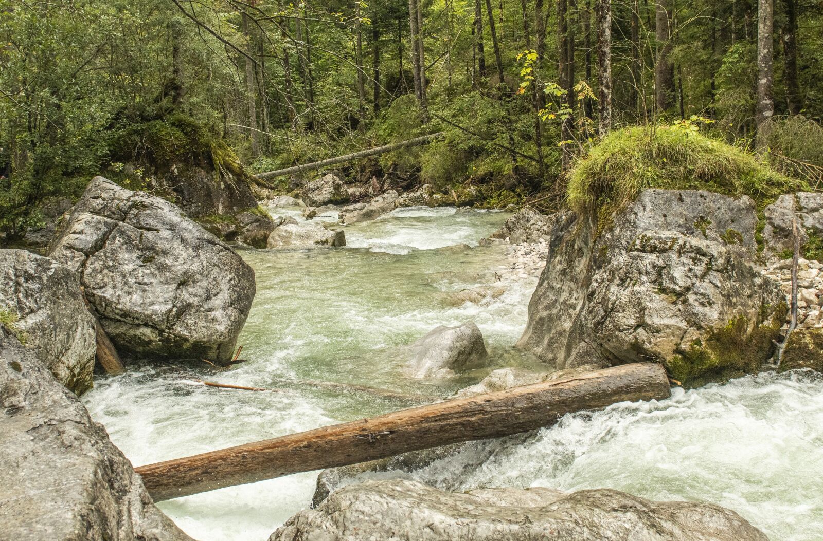 Nikon D500 sample photo. White water, river, waterfall photography