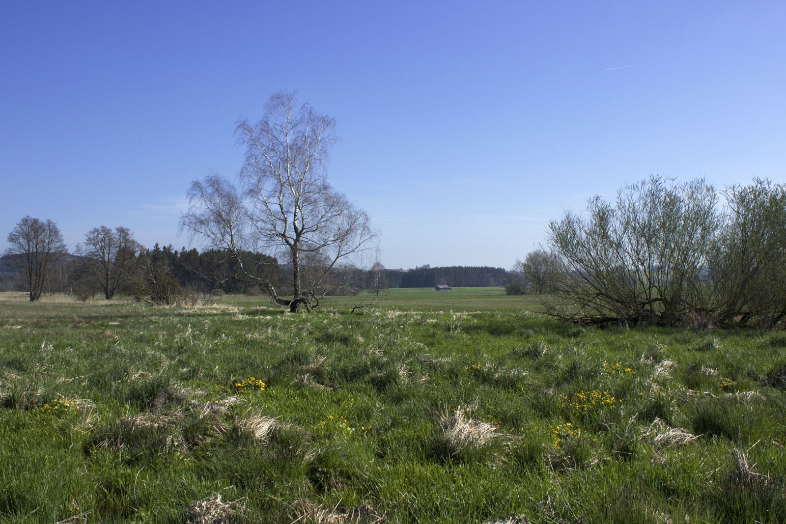 Canon EOS 600D (Rebel EOS T3i / EOS Kiss X5) sample photo. Moorland, landscape, moor photography