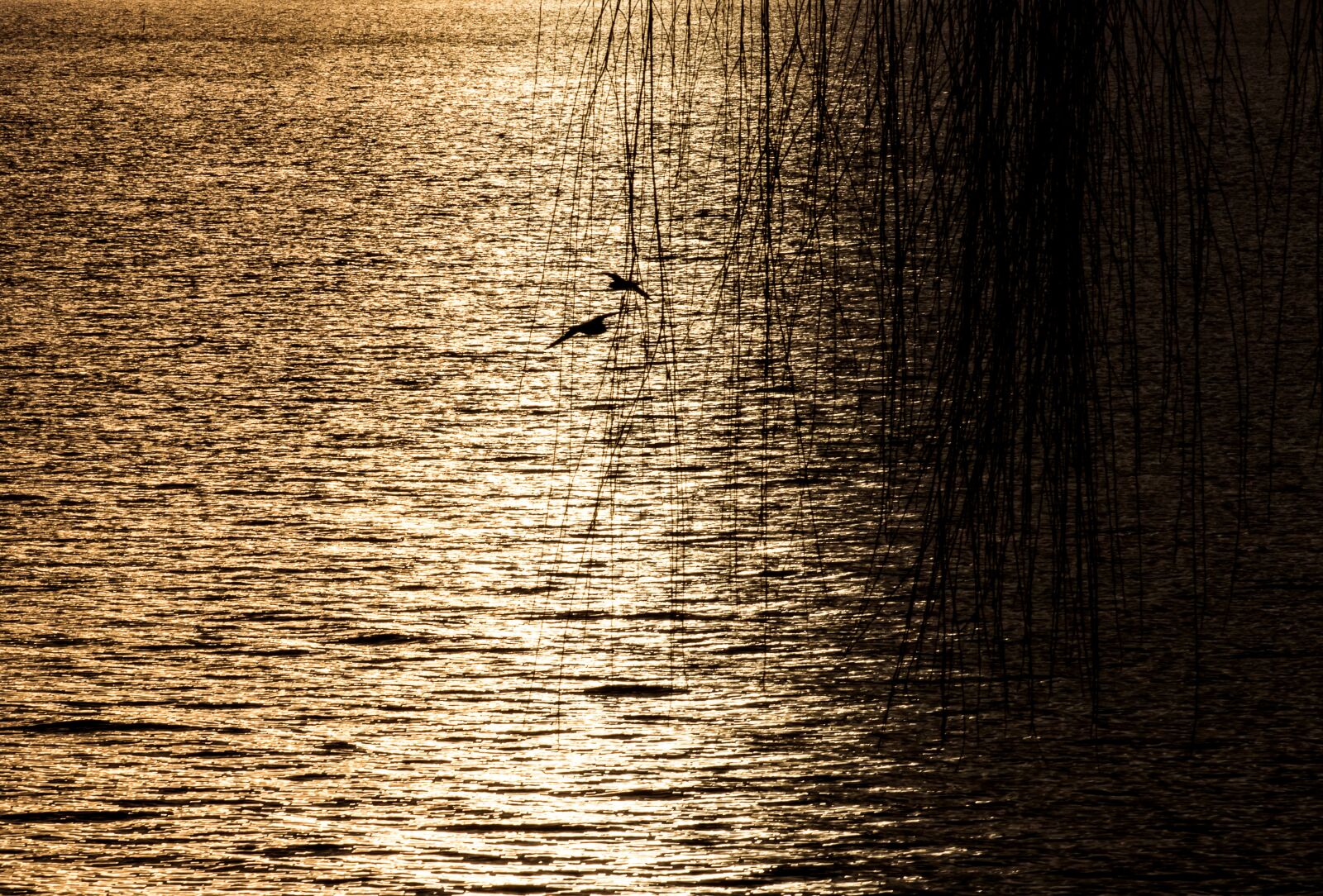 Canon EF 70-300mm F4-5.6 IS USM sample photo. Abendstimmung, lake, nature photography