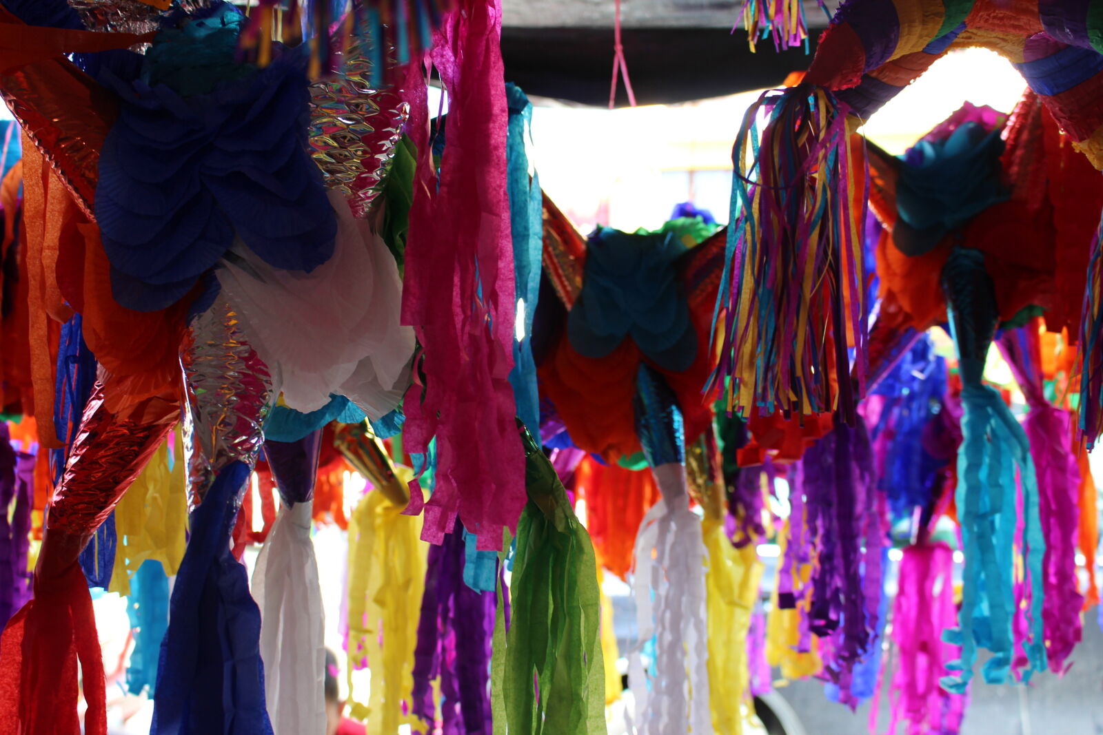 Canon EOS 700D (EOS Rebel T5i / EOS Kiss X7i) sample photo. Celebration, christmas, colors, mexican photography