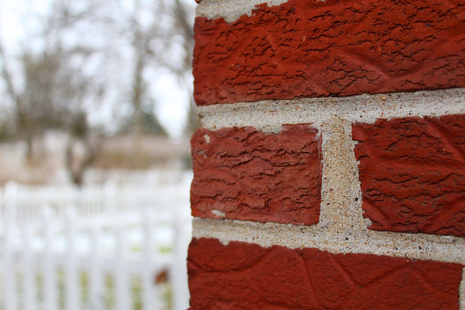 Canon EOS 1200D (EOS Rebel T5 / EOS Kiss X70 / EOS Hi) sample photo. Brick, view photography