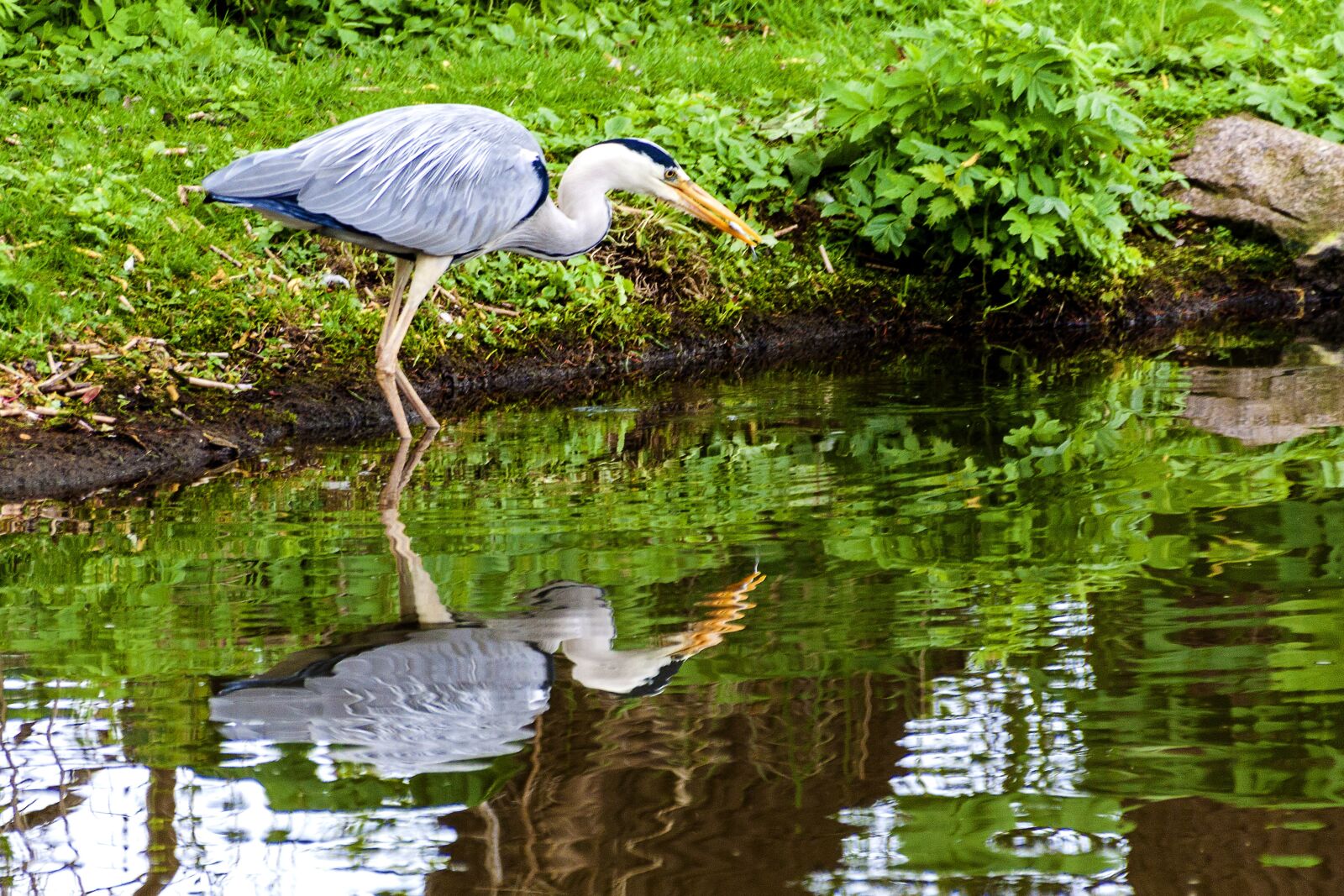 Canon EOS 50D sample photo. Germany, mecklenburg western pomerania photography