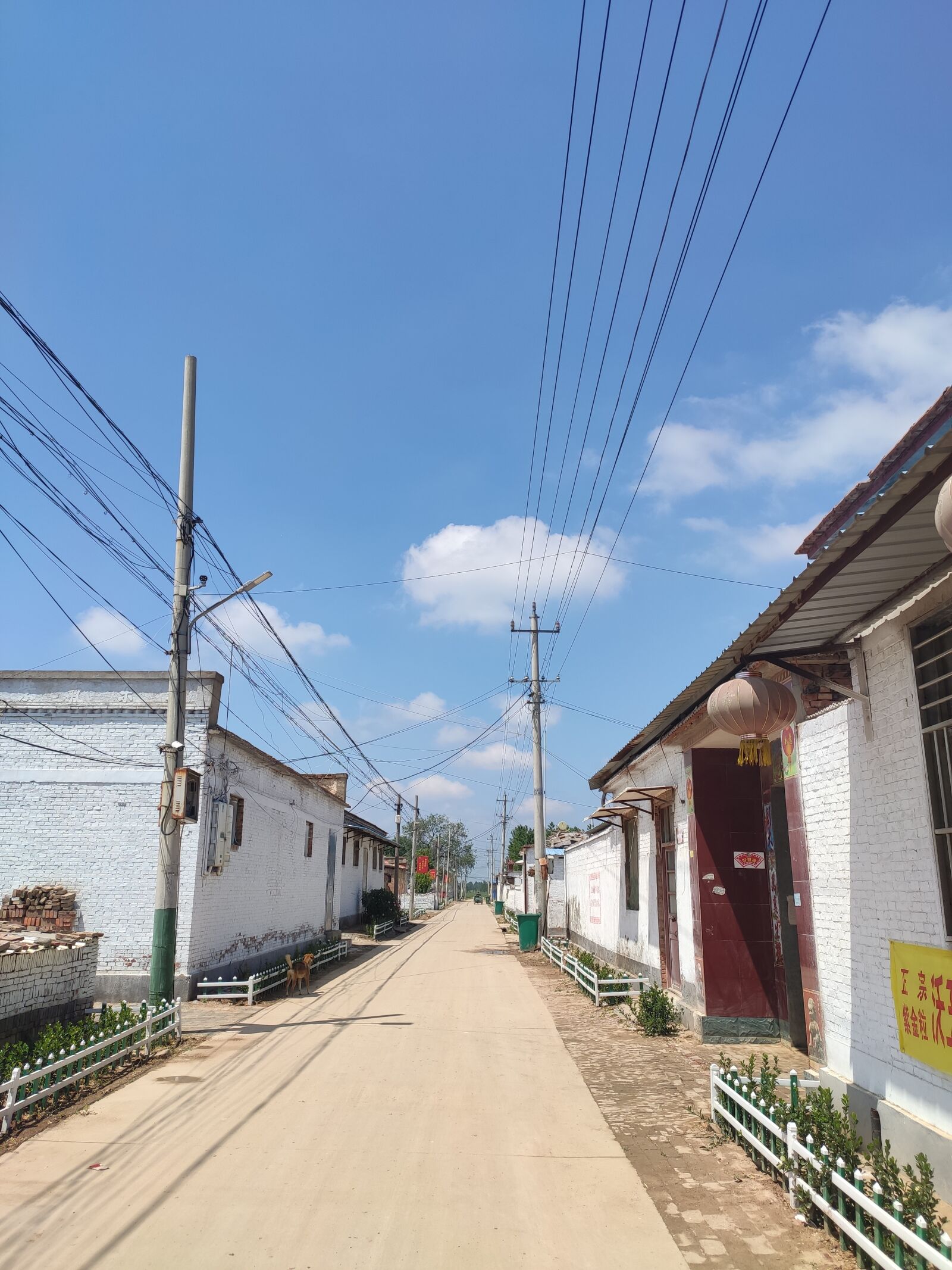Xiaomi Redmi K20 Pro Premium Edition sample photo. Rural greening, street, blue photography