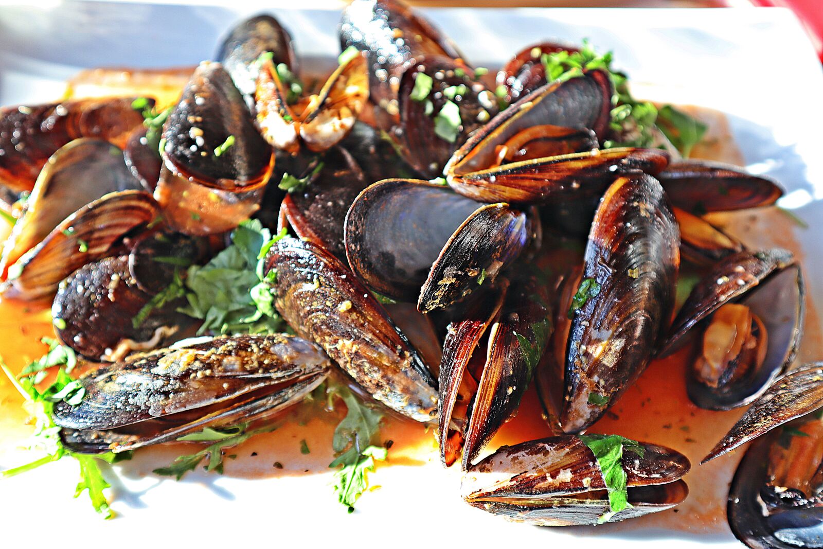 Canon EF-M 15-45mm F3.5-6.3 IS STM sample photo. Mussels, cozze, italy photography