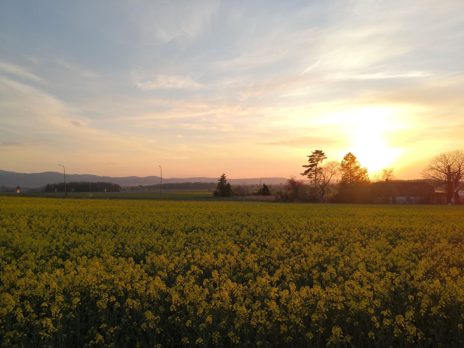 HUAWEI Mate 10 Pro sample photo. Sunset, field, sky photography