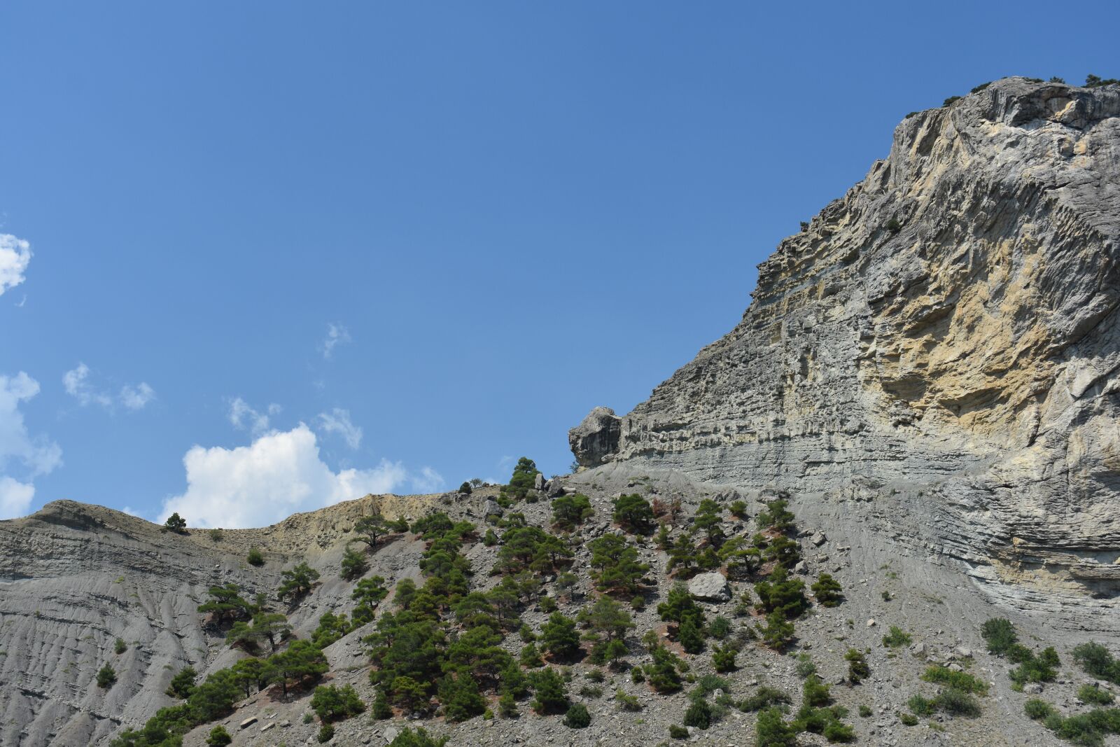 Nikon D3400 sample photo. Rock, trees, background photography
