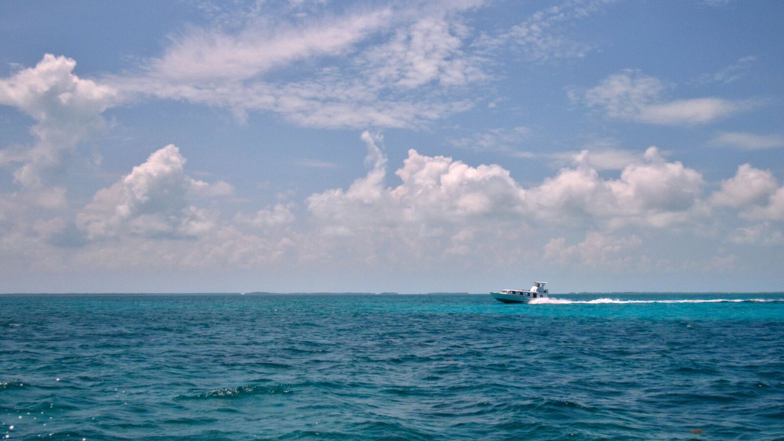 Canon PowerShot SX530 HS sample photo. Water, nature, summer photography