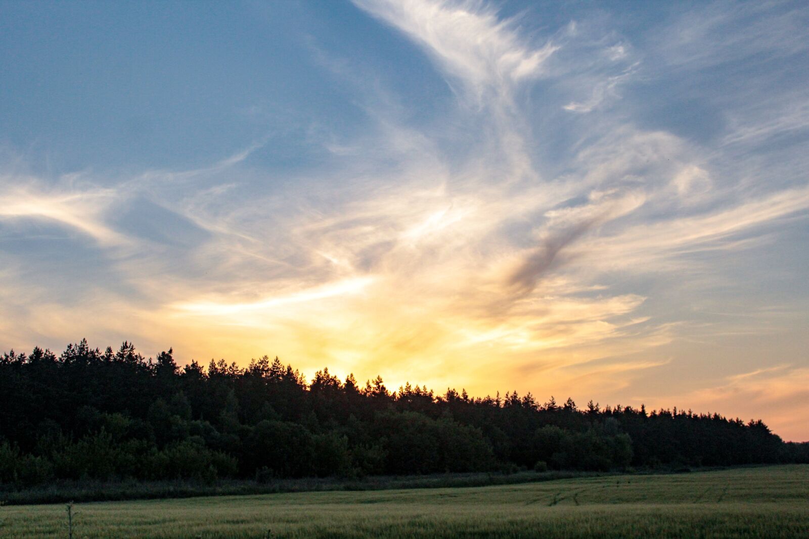 Canon EOS 1200D (EOS Rebel T5 / EOS Kiss X70 / EOS Hi) sample photo. Forest, sunset, evening photography