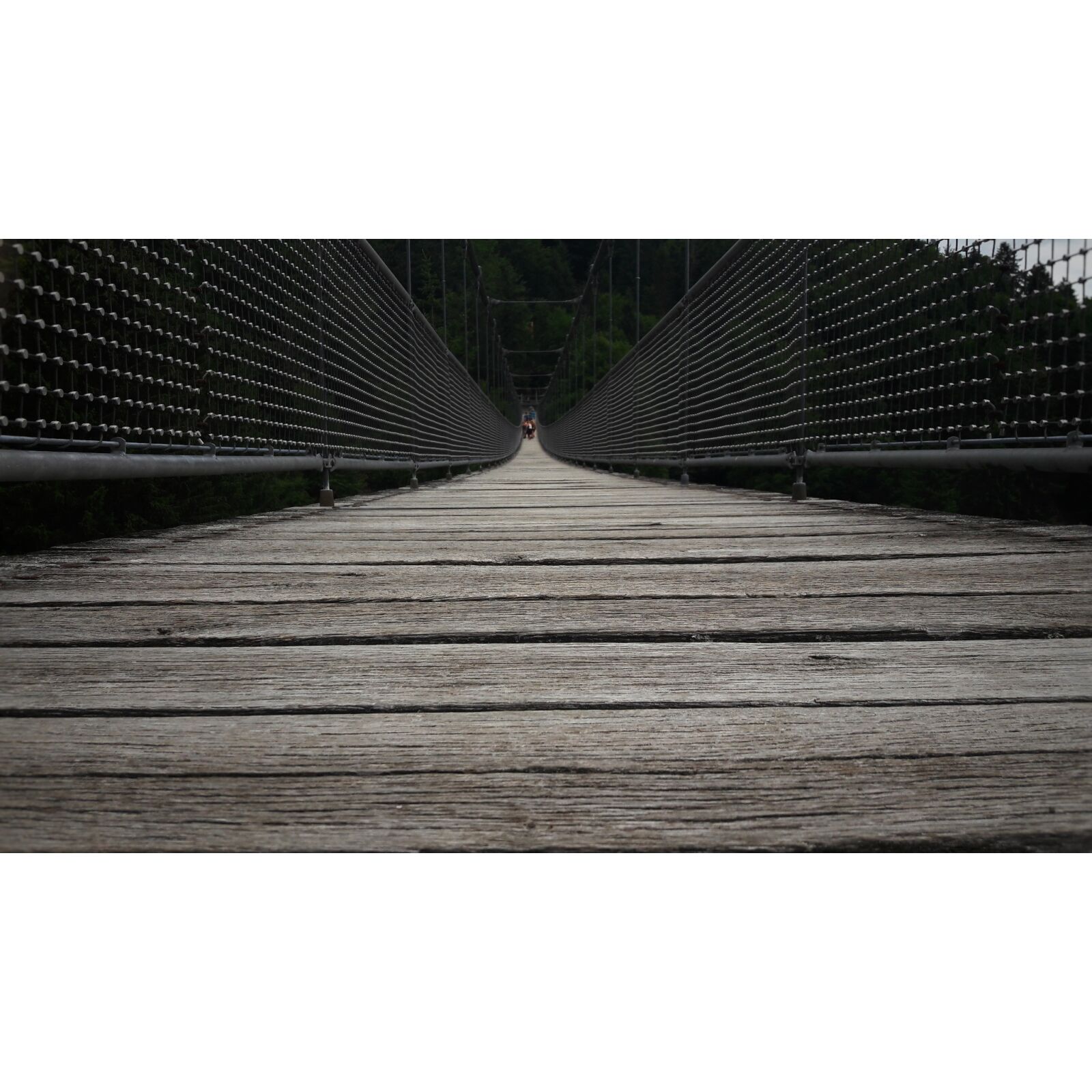 Samsung Galaxy A5(2016) sample photo. Bridge, steinwasen park, epic photography