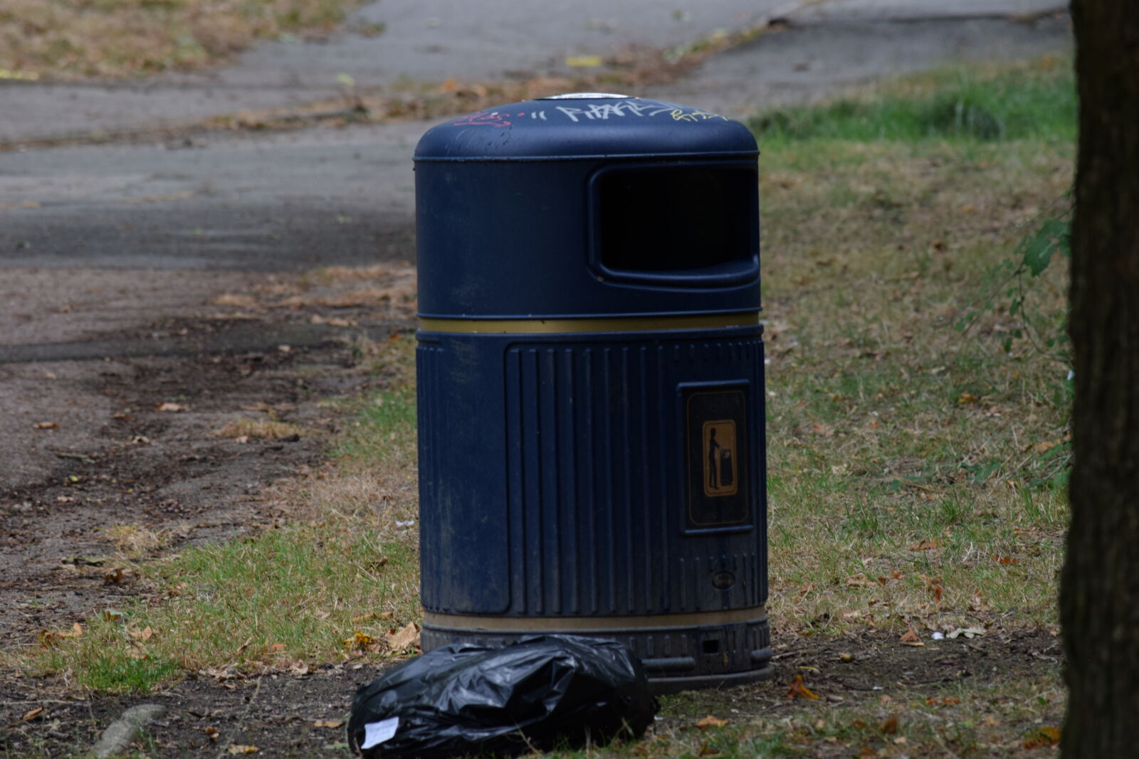 Nikon D3300 sample photo