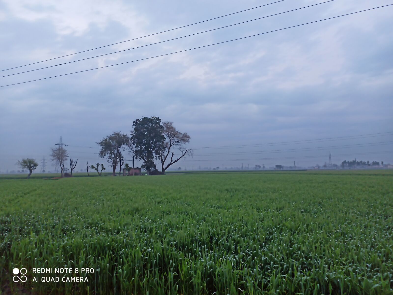 Xiaomi Redmi Note 8 Pro sample photo. Punjab's village leel, the photography