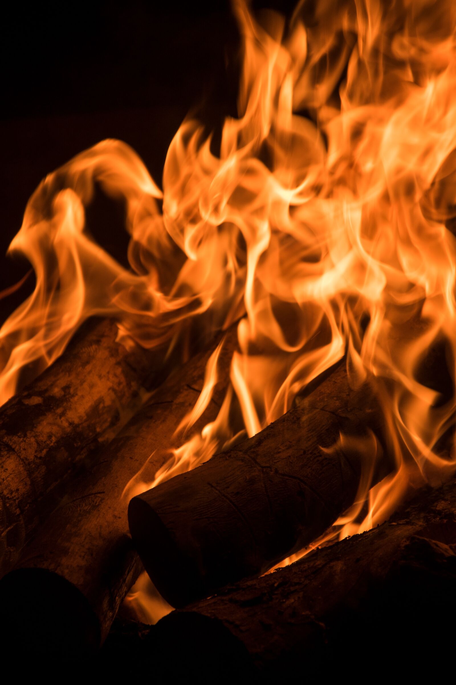 Nikon D750 sample photo. Fire, burn, flame photography