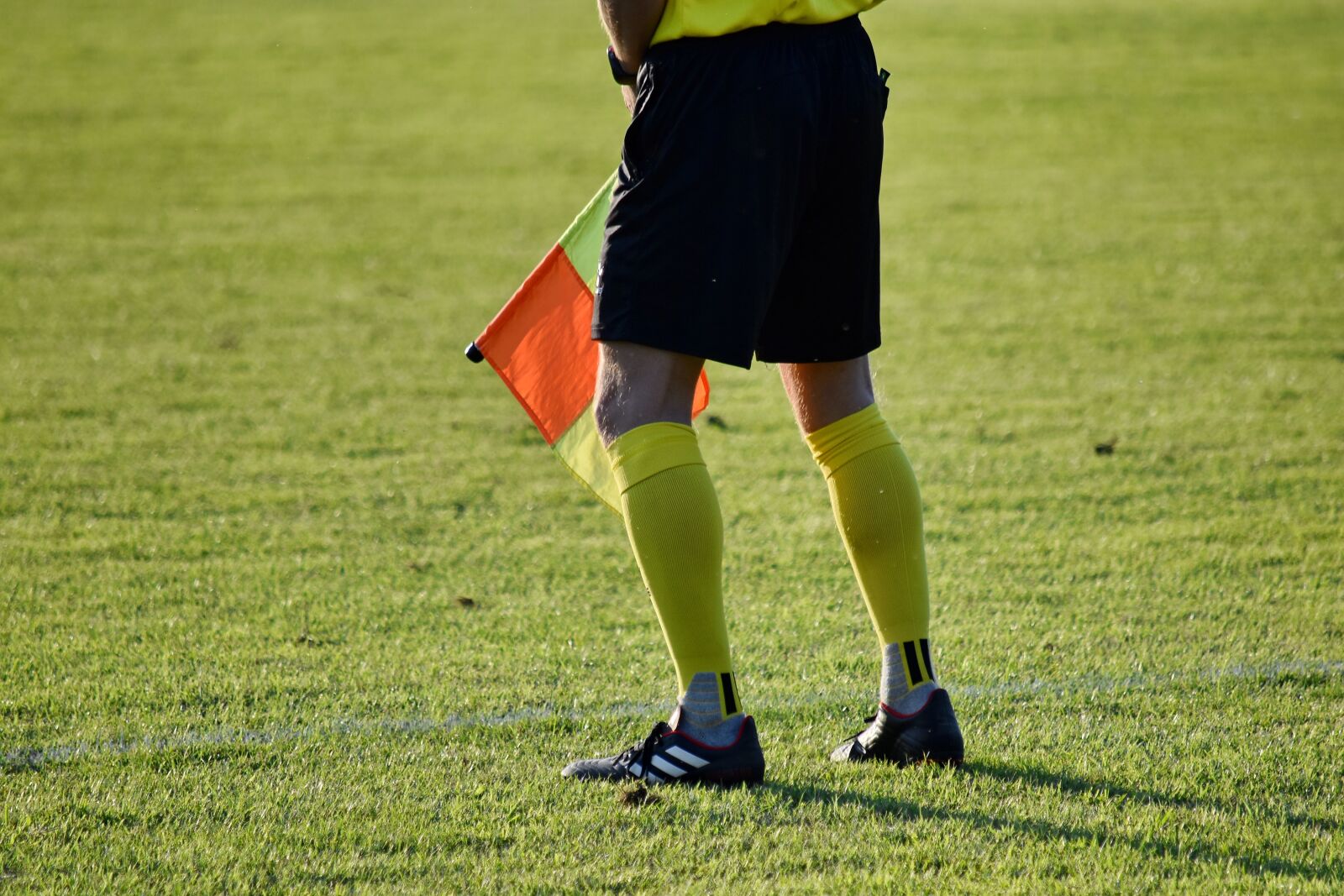 Nikon D5500 sample photo. Flag, football, grass plants photography