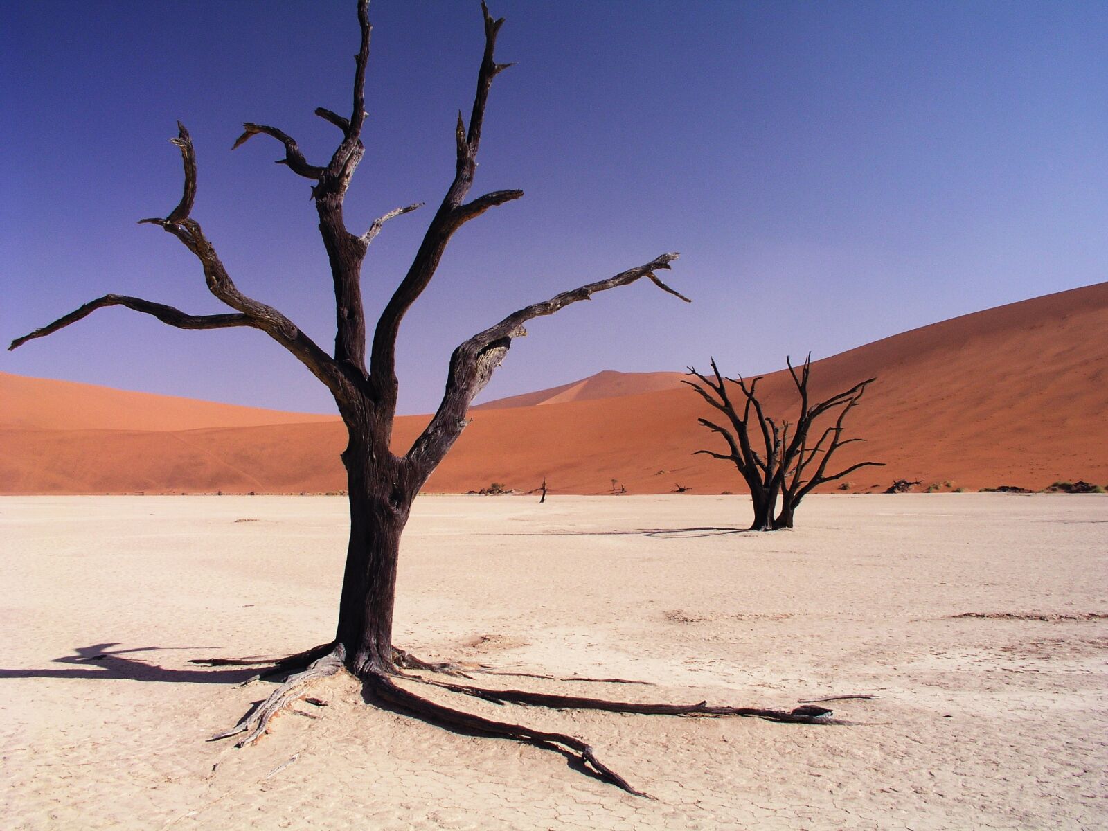 Olympus C5050Z sample photo. Desert, drought, dry photography