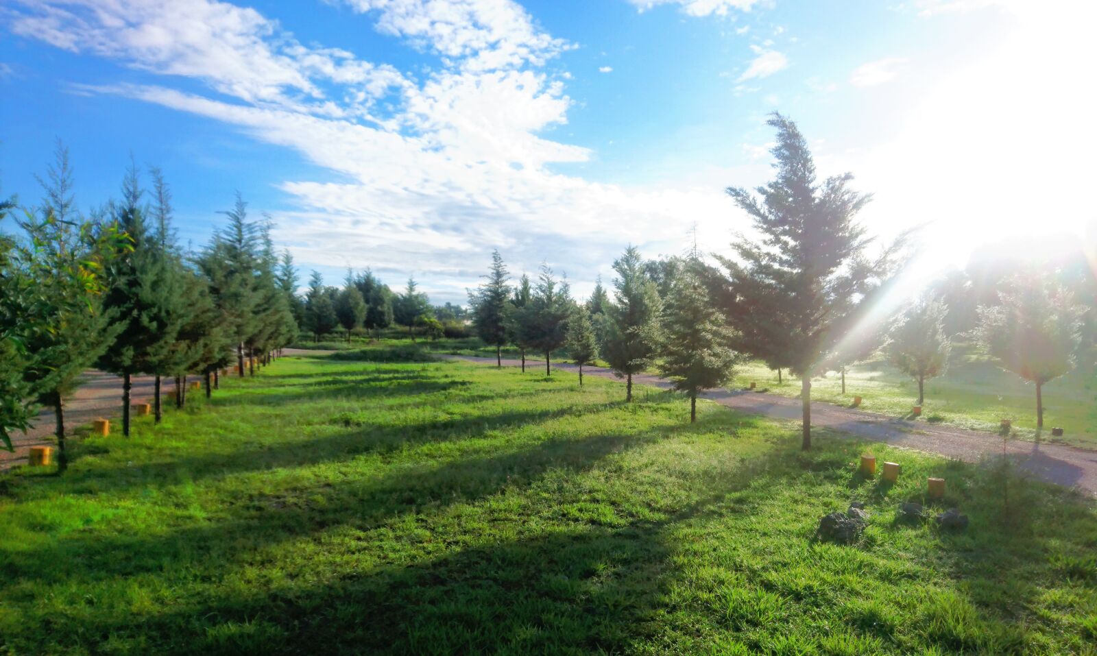 Sony Xperia Z5 Compact sample photo. Nature, landscape, sky photography