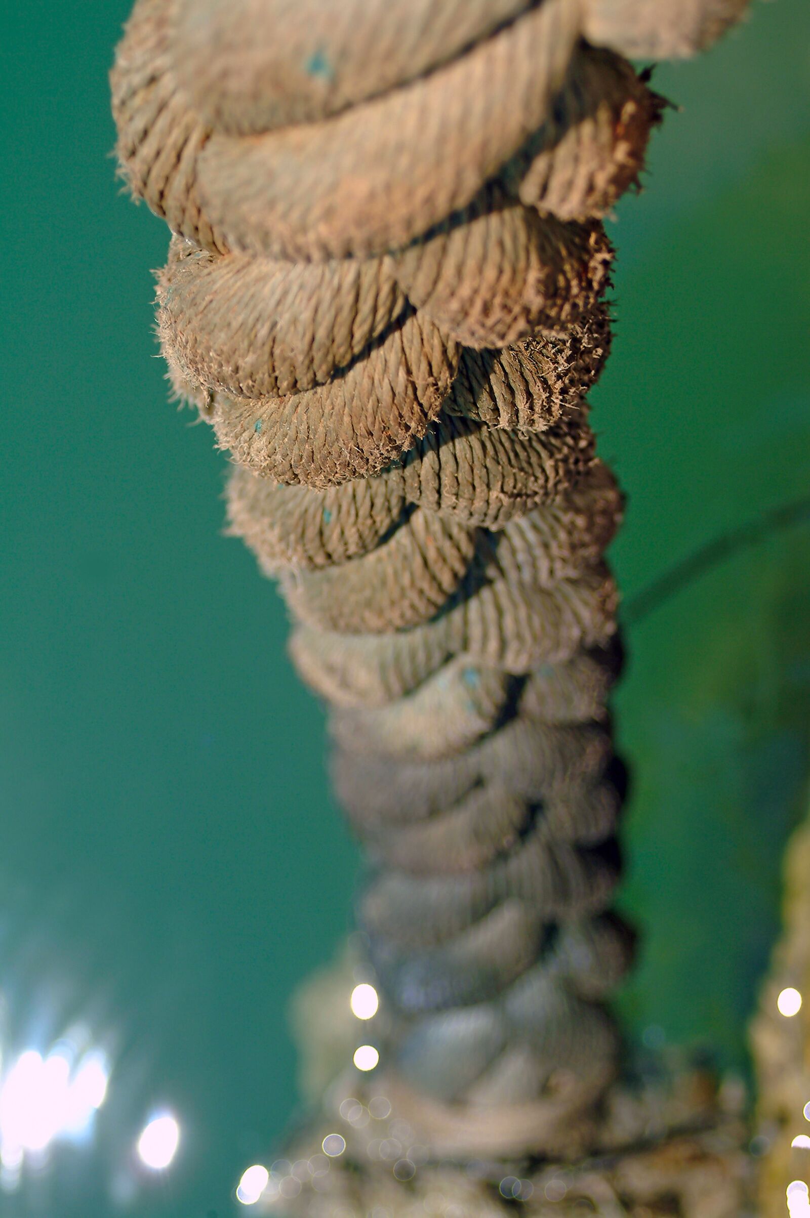 Nikon D3200 sample photo. Rope, twisted rope, ship photography