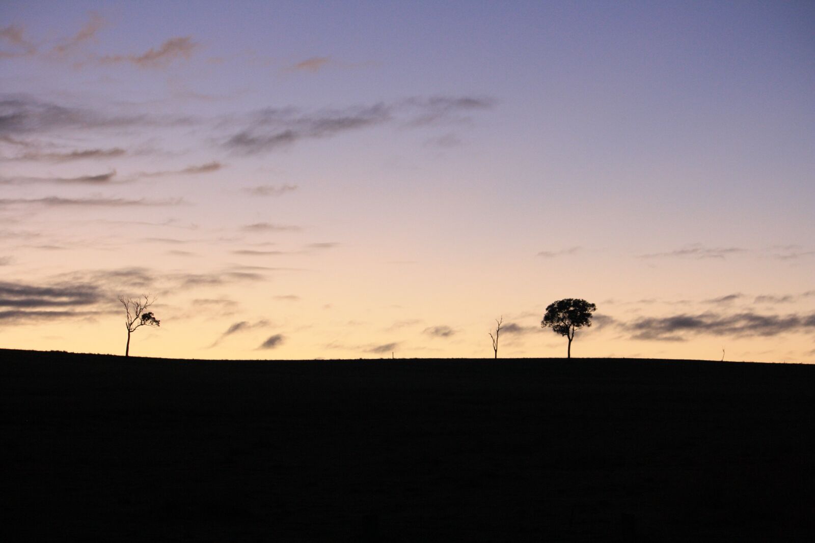 Canon EOS 1000D (EOS Digital Rebel XS / EOS Kiss F) sample photo. Tree, sunrise, nature photography